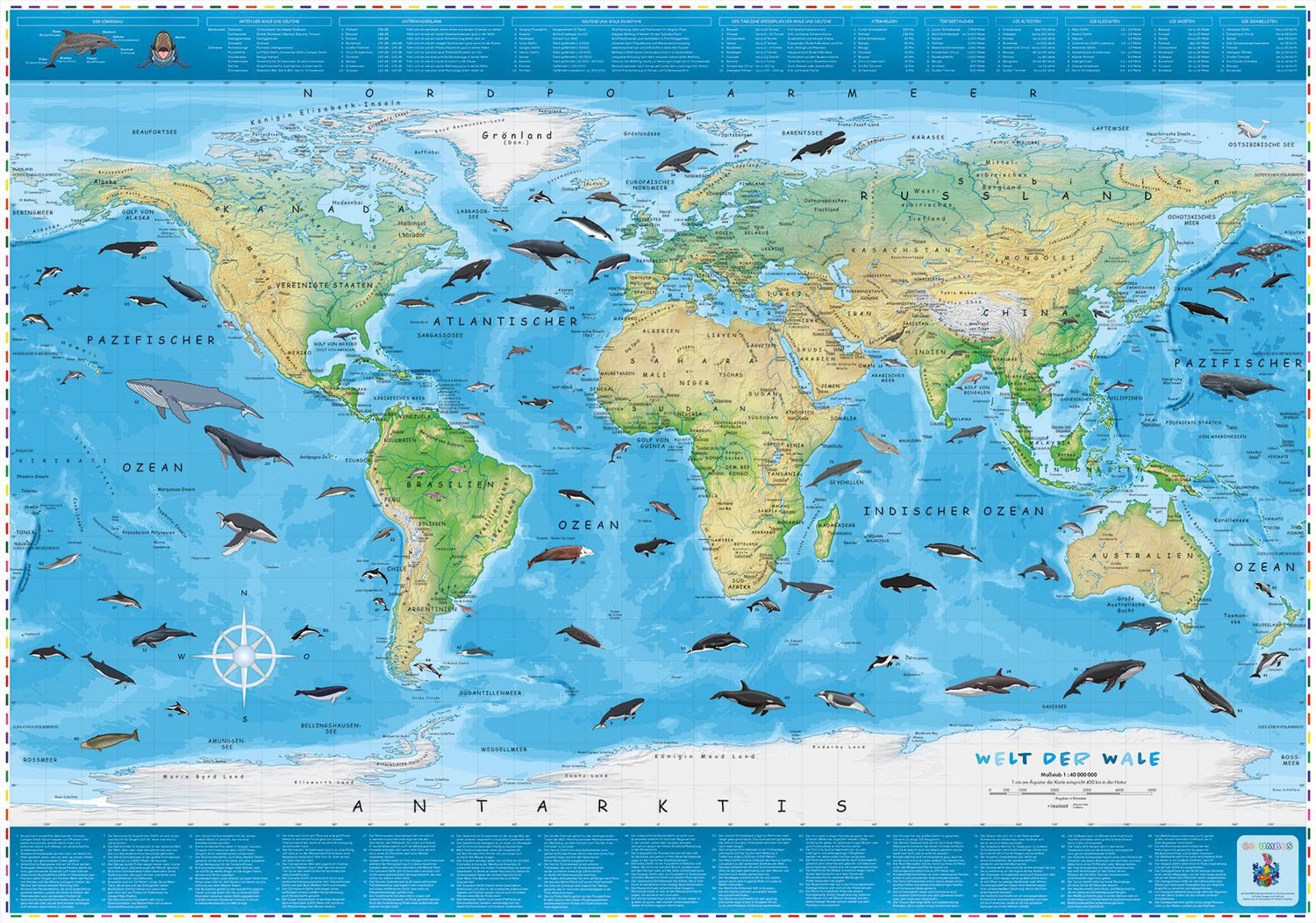 COLUMBUS Kinderweltkarte Welt der Wale / COLUMBUS Verlag GmbH & Co. KG