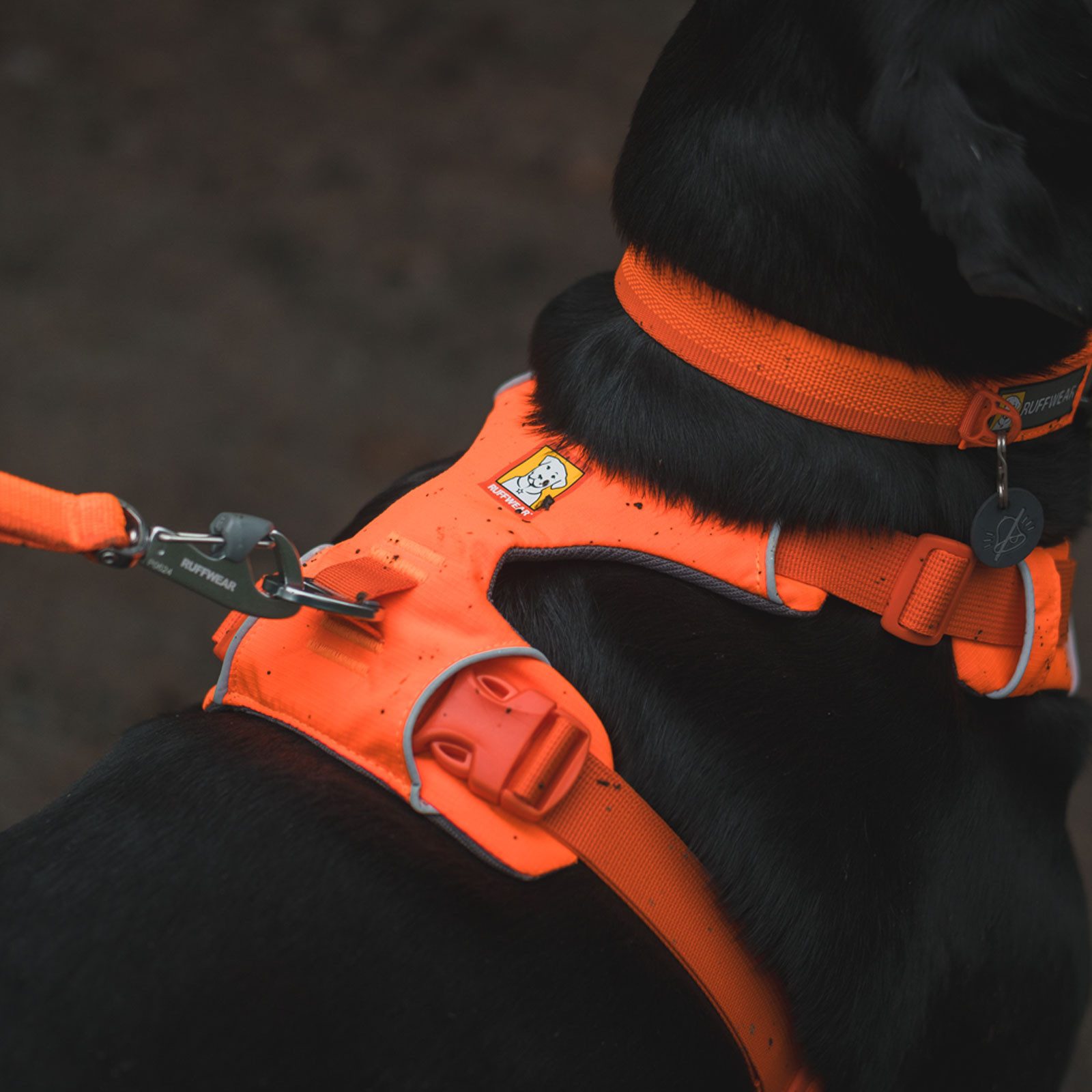 Ruffwear Hunde-Geschirr FRONT RANGE™ 30503-850, Gepolstertes Brustgeschirr für Hunde