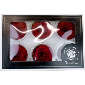 Kunstblume Infinity Rosen echte rote Rosen stabilisiert Valentinstag 6cm, 6 St., DekoTown