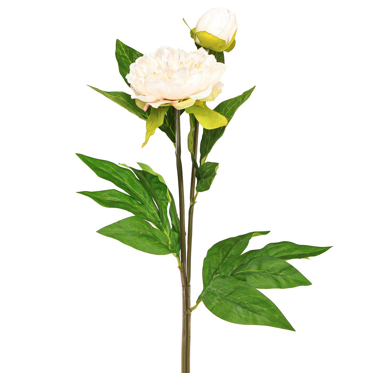 Kunstblume Lange Kunstpfingstrosen Creme 70cm 3er Set Dekoblumen, 3 Stück, Florists Products, Höhe 70 cm