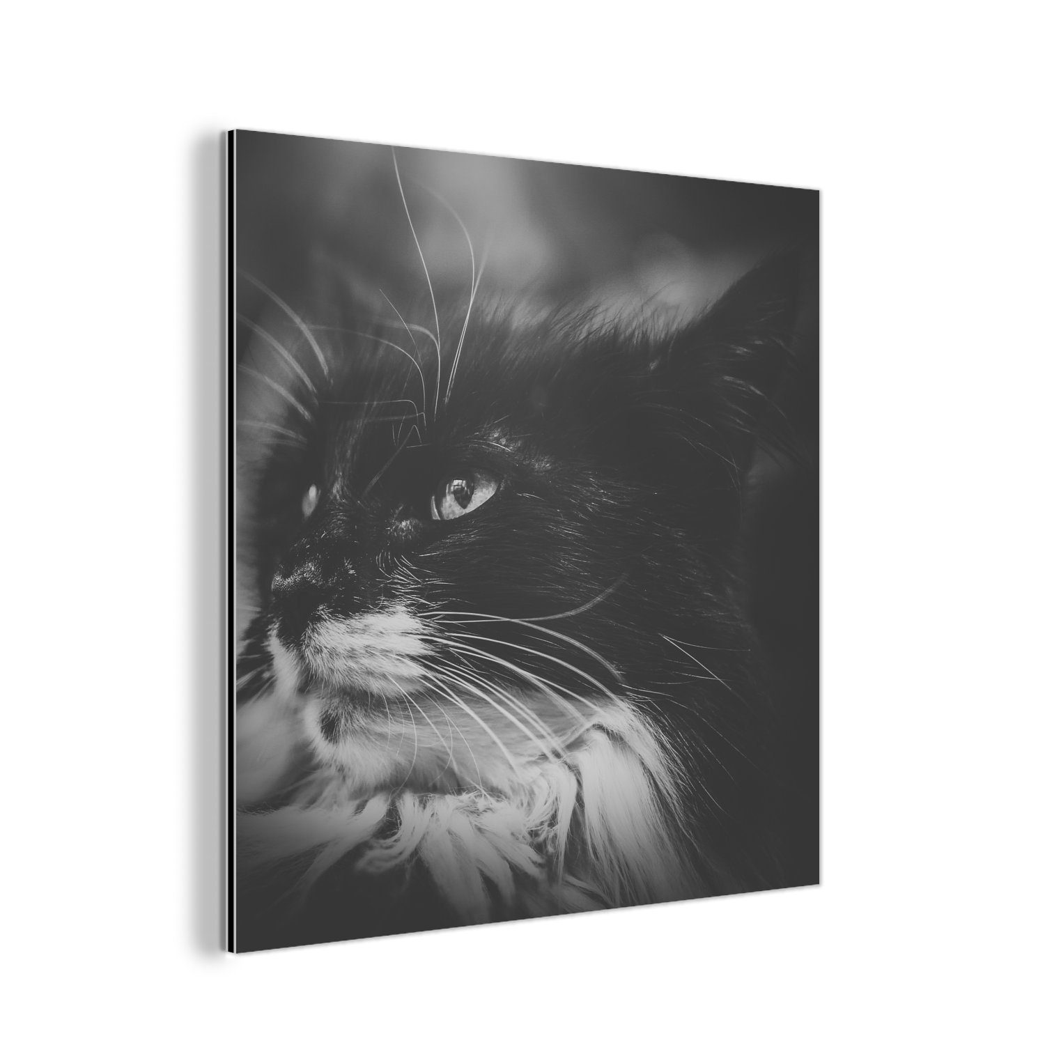 MuchoWow Metallbild Tierprofil seitwärts blickende Katze in Schwarz und Weiß, (1 St), Alu-Dibond-Druck, Gemälde aus Metall, Aluminium deko