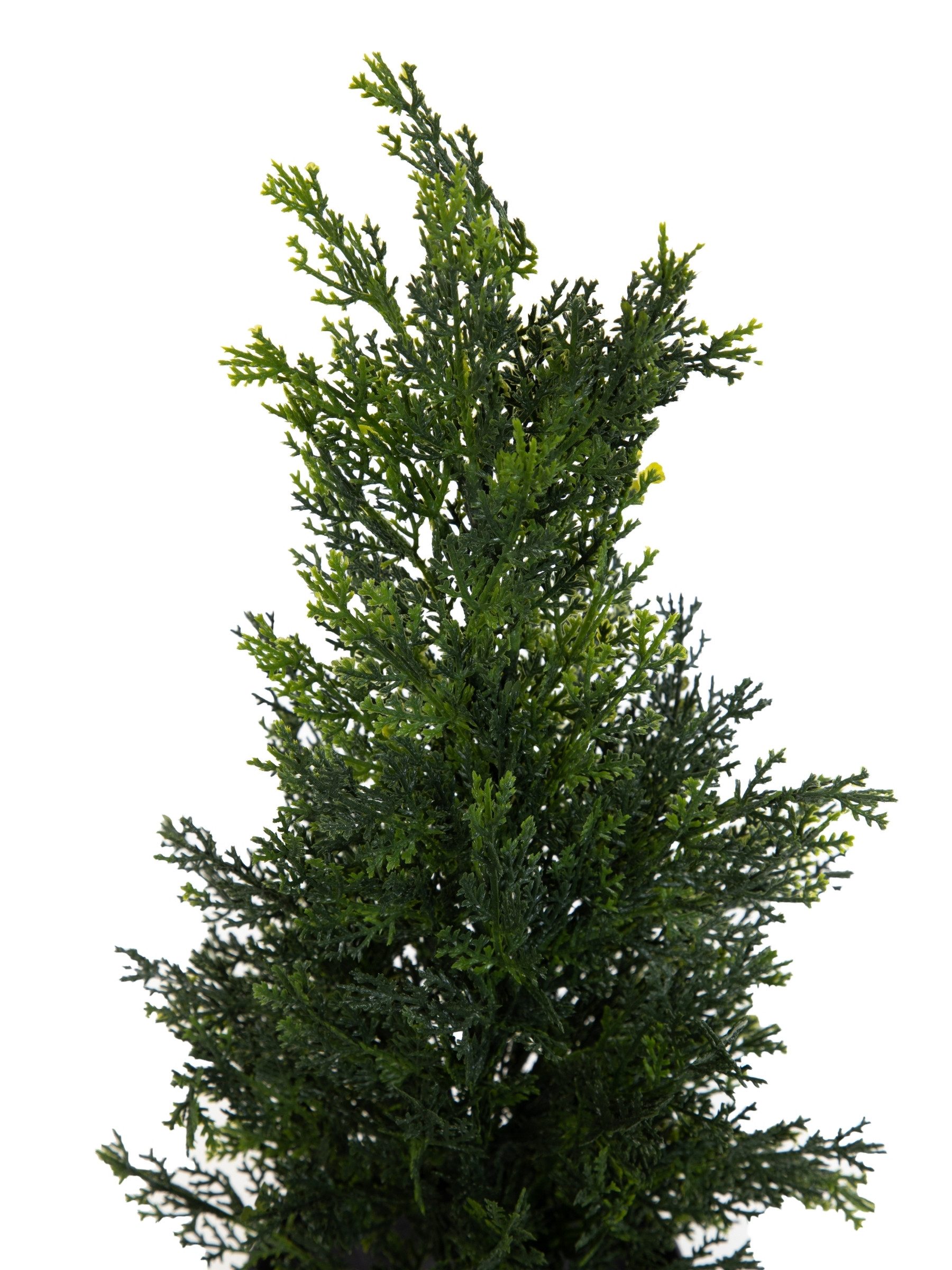 Kunstpflanze Zeder / Konifere Natura LA Kunstbaum künstliche Thuja Zypresse Zeder, Seidenblumen Roß, Höhe 45 cm