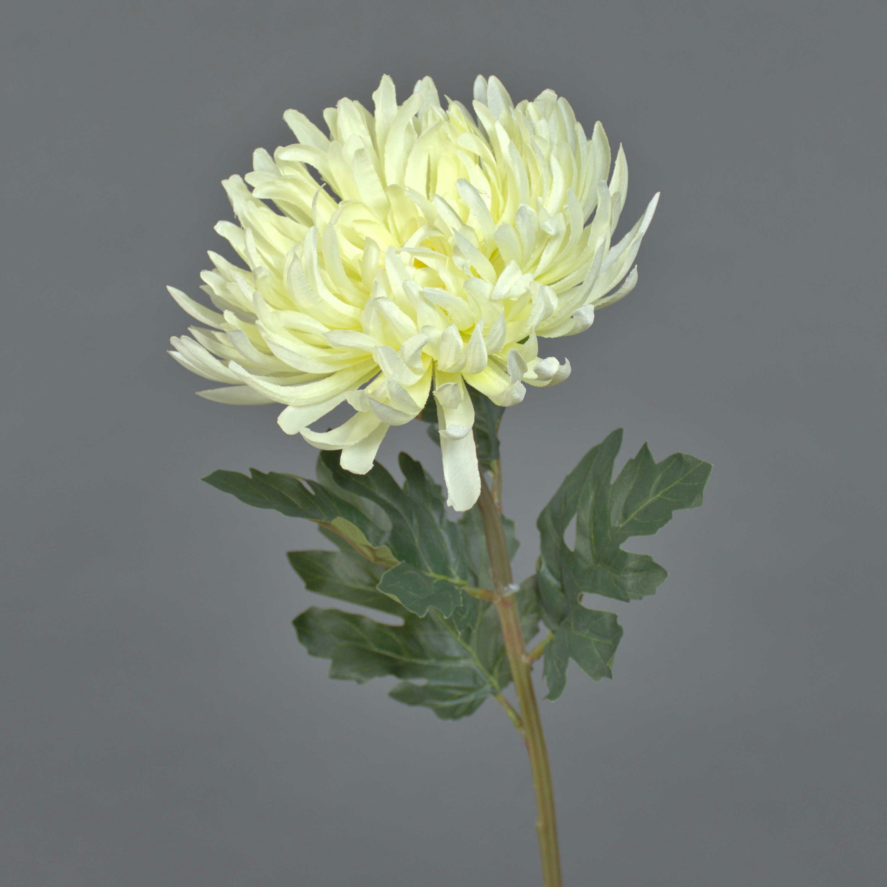 Kunstblume Chrysantheme LINGYUN, weiß, 65 cm Chrysantheme, artplants, Höhe 65.0 cm