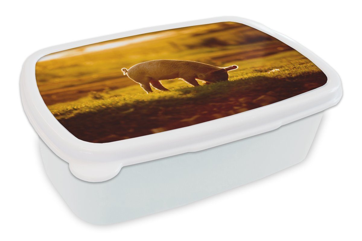 MuchoWow Lunchbox Schwein - (2-tlg), Brotbox Erwachsene, - für Jungs Mädchen und weiß Gras Kinder für Licht, Kunststoff, und Brotdose