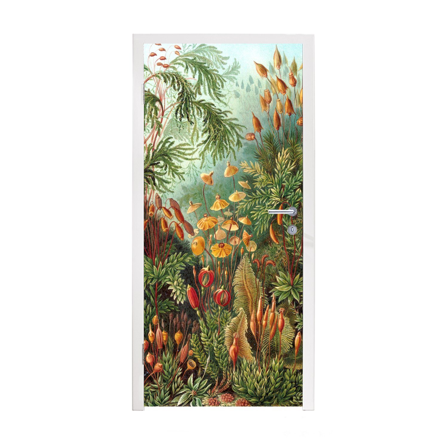 MuchoWow Türtapete Natur - Gestaltung - Pilze - Ernst Haeckel, Matt, bedruckt, (1 St), Fototapete für Tür, Türaufkleber, 75x205 cm
