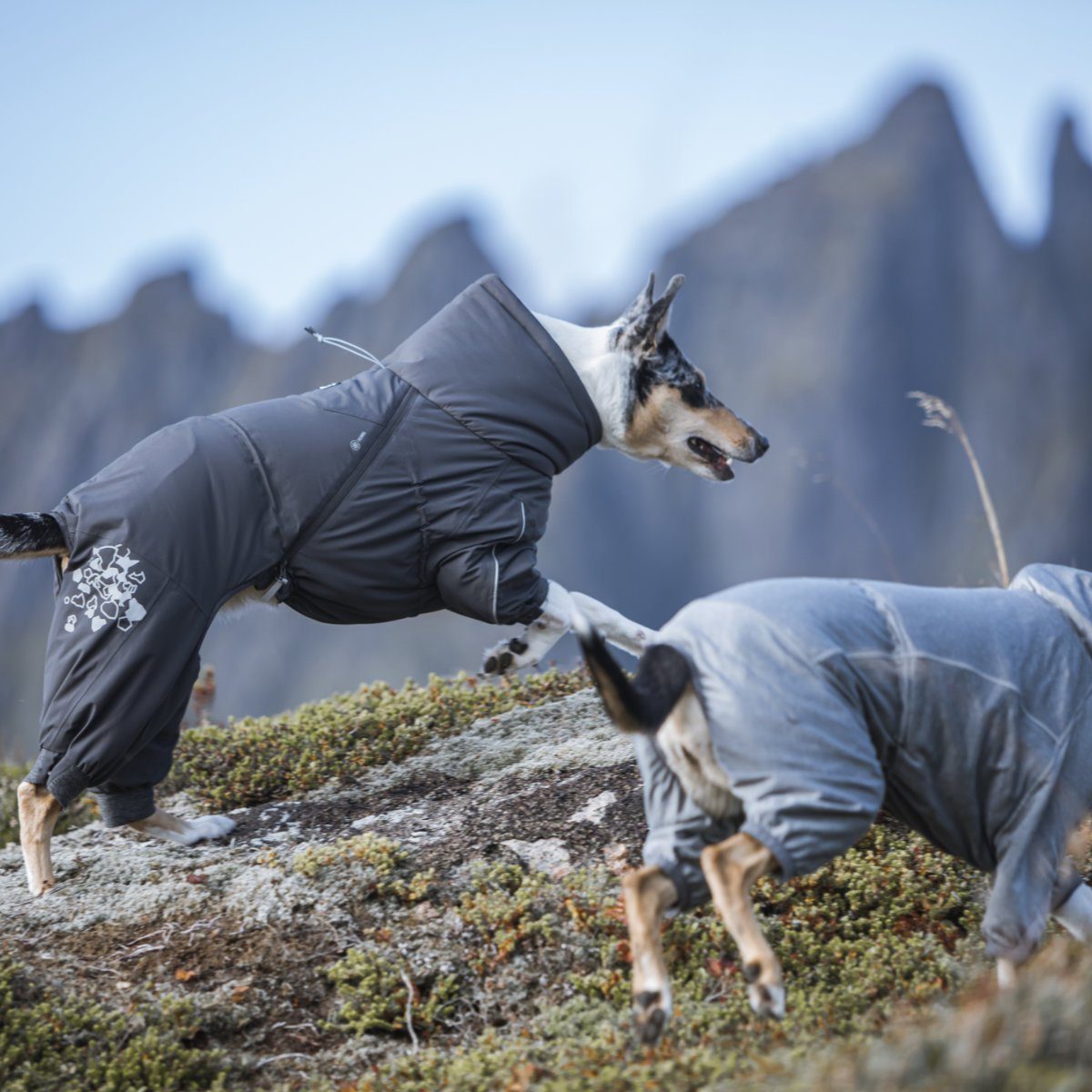 HURTTA Hundeoverall Extreme Overall (Wärme-Overall) dunkelgrau