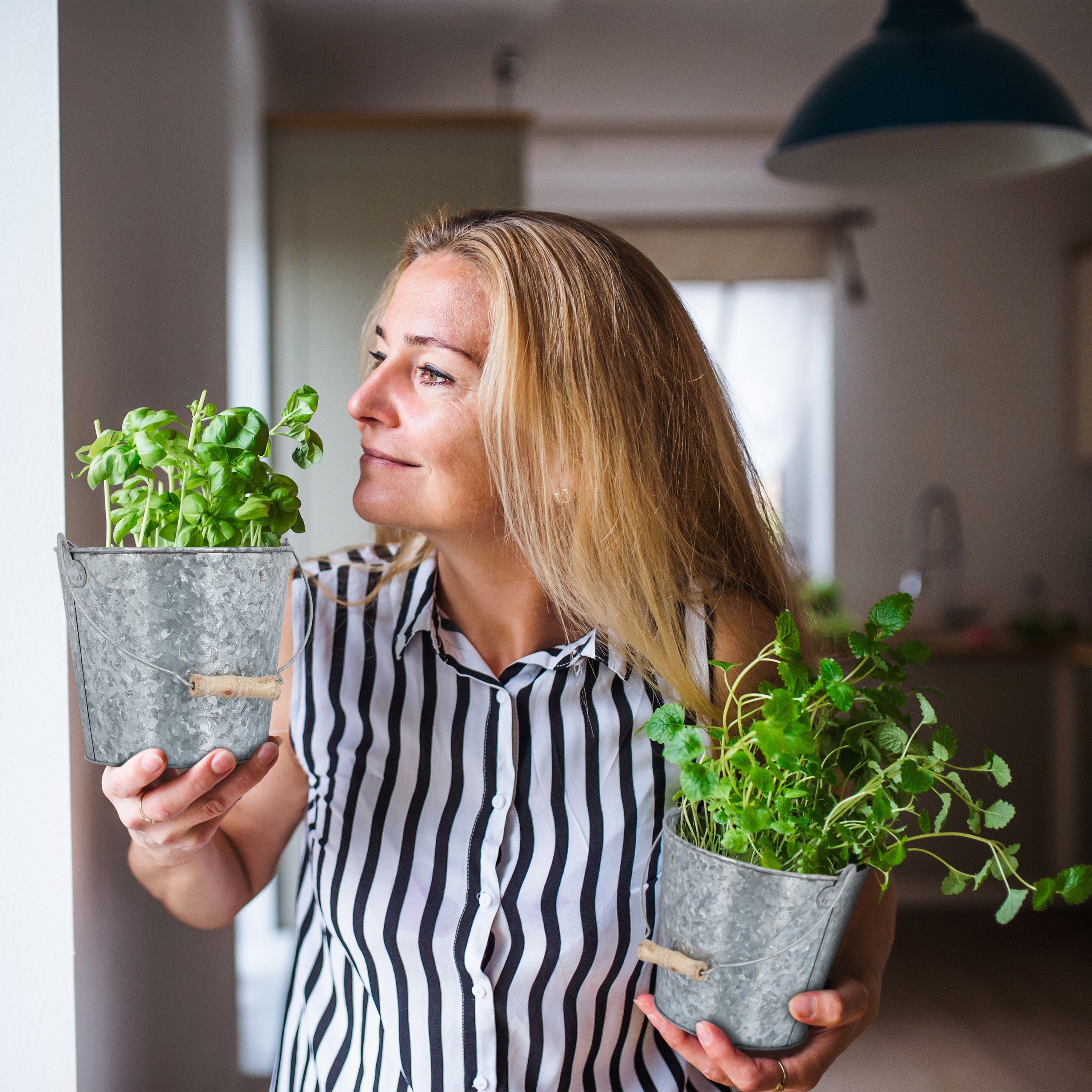 relaxdays Blumentopf Zinktopf 5er Set günstig online kaufen