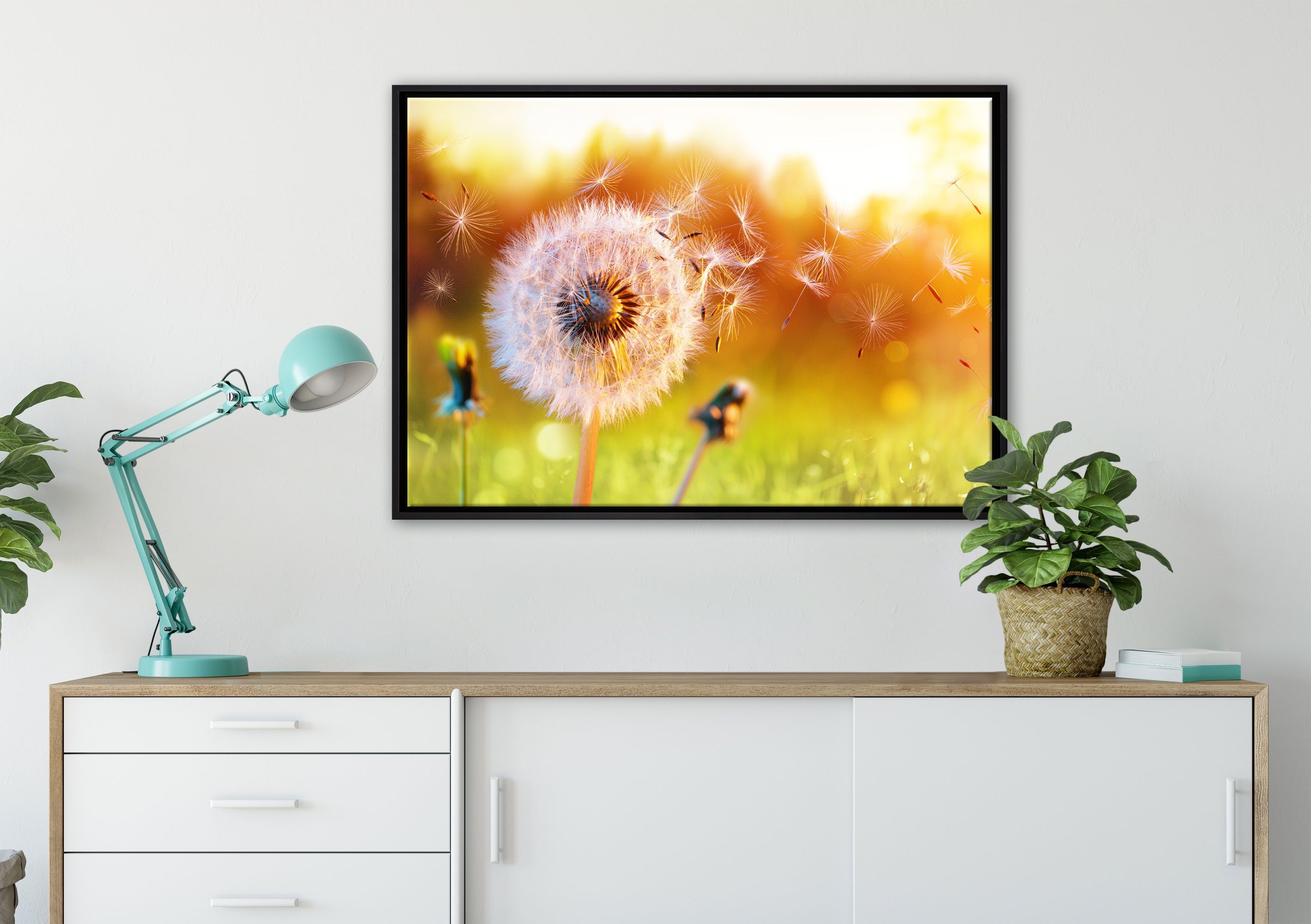 (1 Schattenfugen-Bilderrahmen Pixxprint gefasst, Nahaufnahme in Wanddekoration Sonnenuntergang, Leinwandbild St), bespannt, einem inkl. Pusteblume fertig Leinwandbild Zackenaufhänger