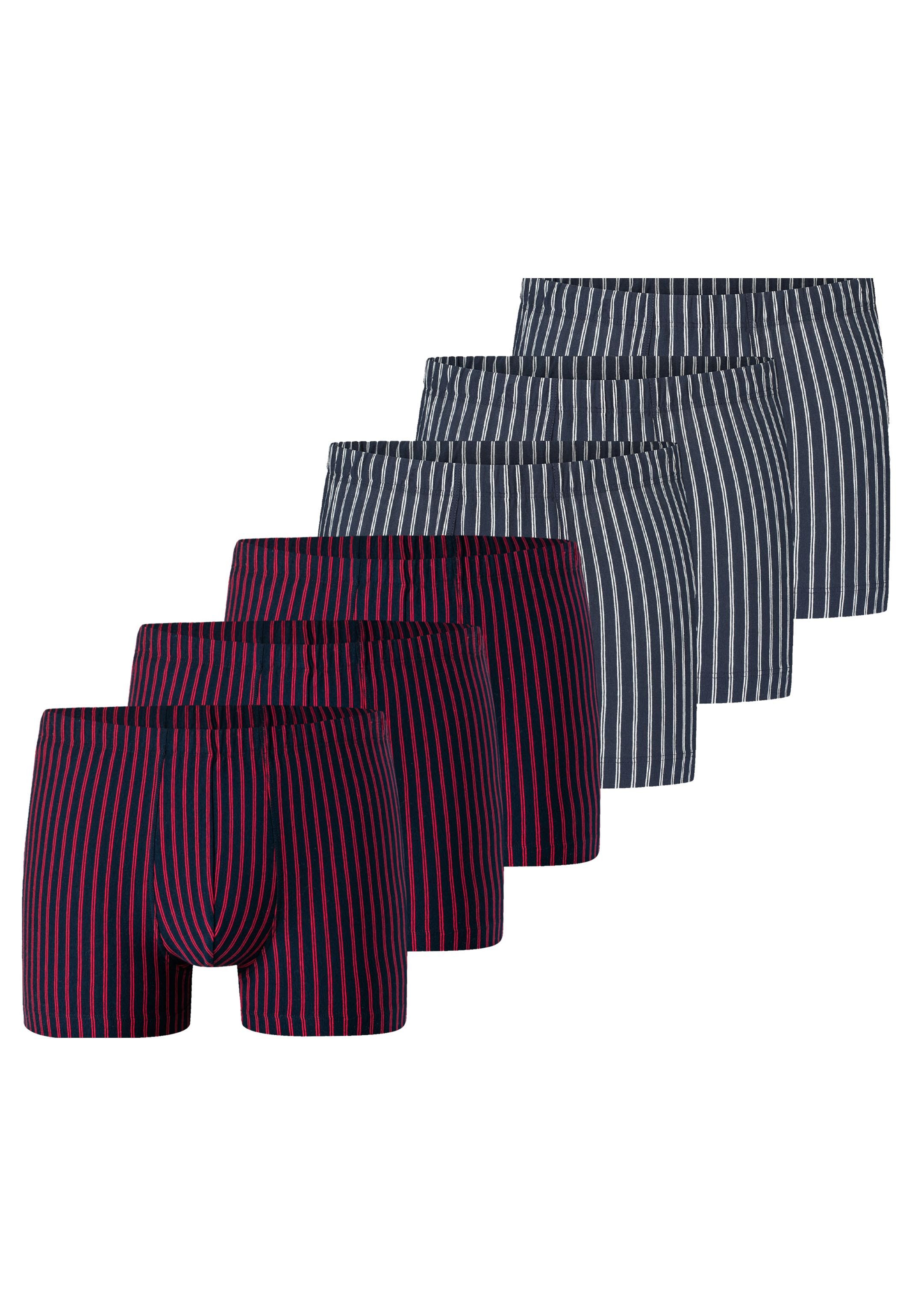 Retro Boxer 6er Pack 95/5 Essentials Organic Cotton