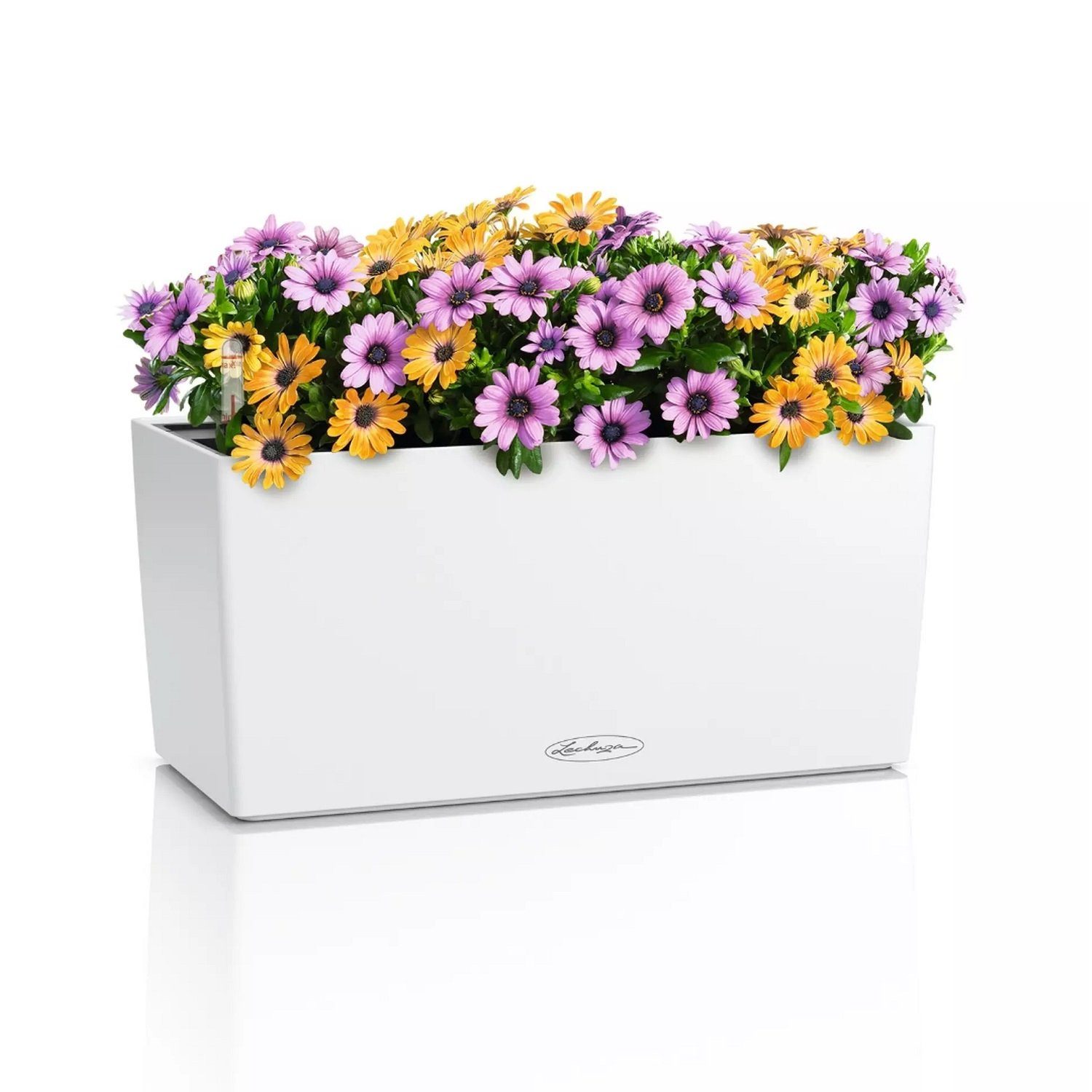 Lechuza® Balkonkasten Balconera Color 40 weiß