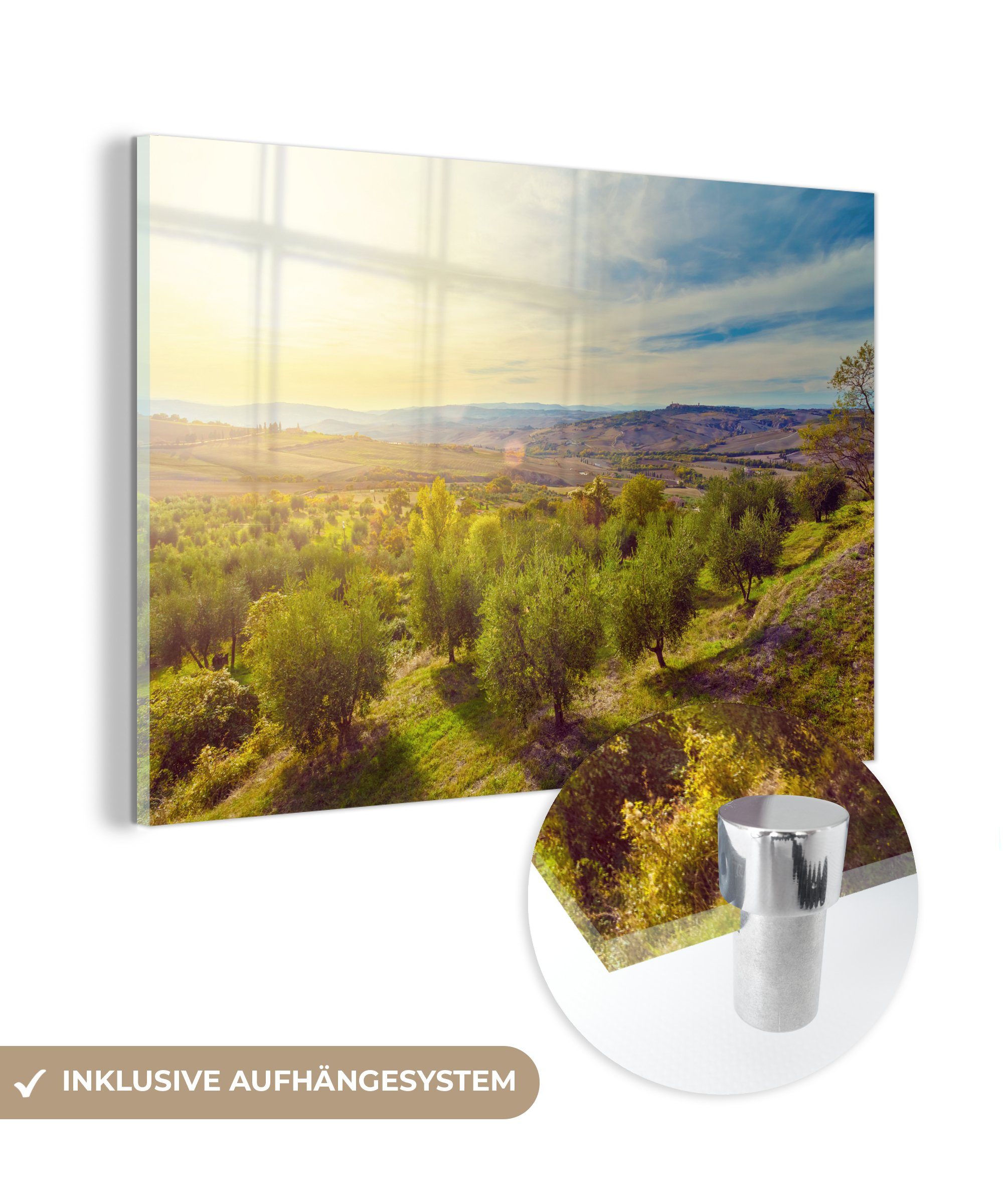 MuchoWow Acrylglasbild Die Olivenbäume bei Sonnenaufgang, (1 St), Acrylglasbilder Wohnzimmer & Schlafzimmer