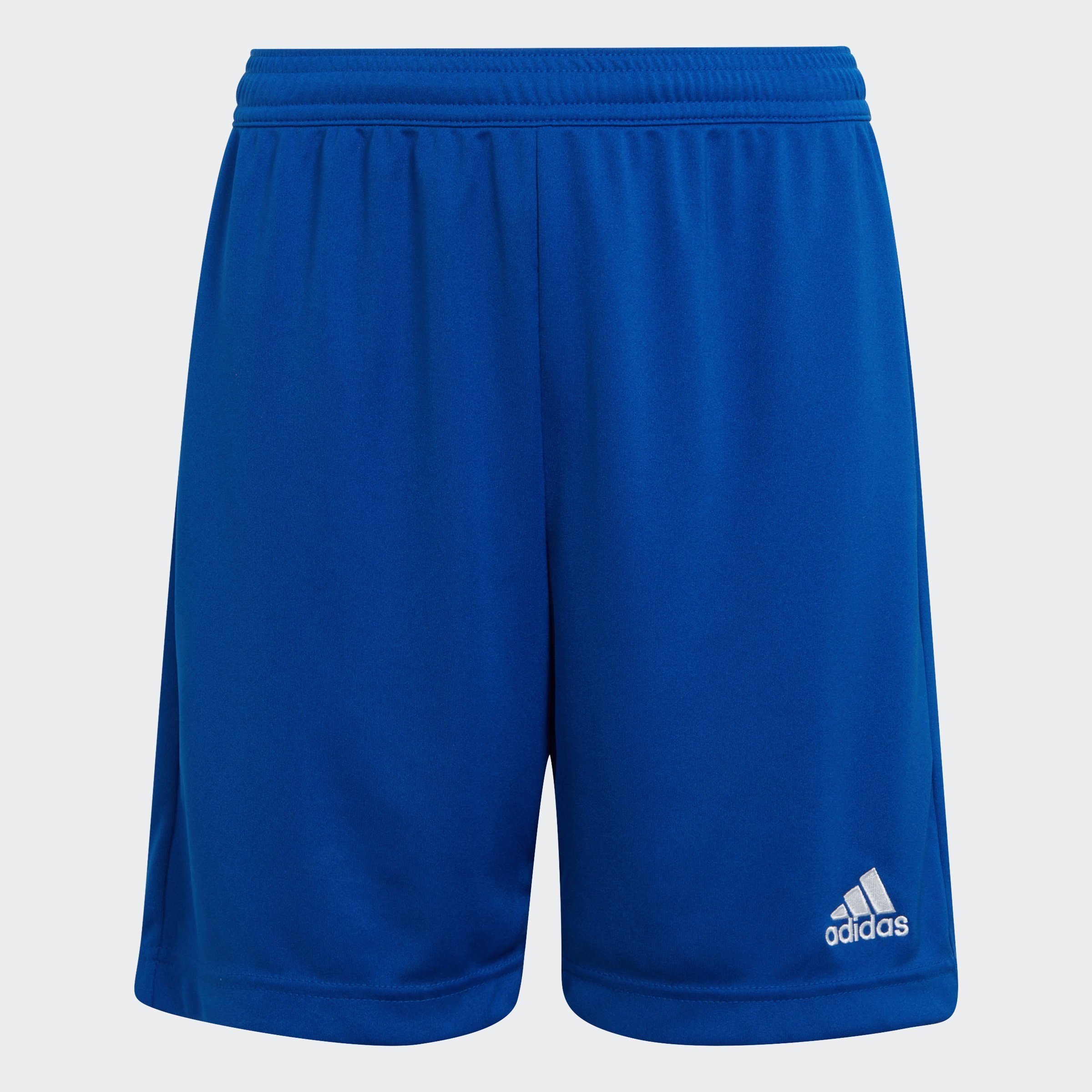 Y SHO adidas ROYBLU Trainingsshorts (1-tlg) ENT22 Performance