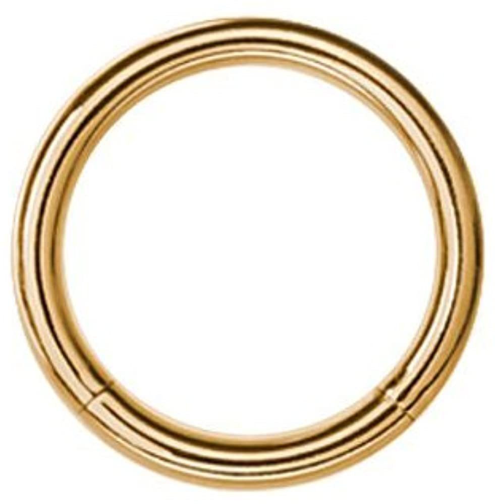 Piercing-Set Karisma Gold Titan G23 Segment Ring Piercing Septum Nasenpiercing