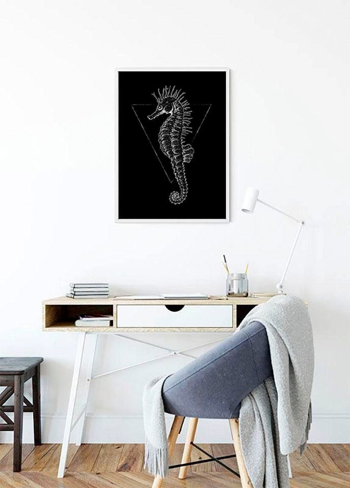 Komar Poster Sea Horse Black, Tiere (1 St), Kinderzimmer, Schlafzimmer, Wohnzimmer | Poster