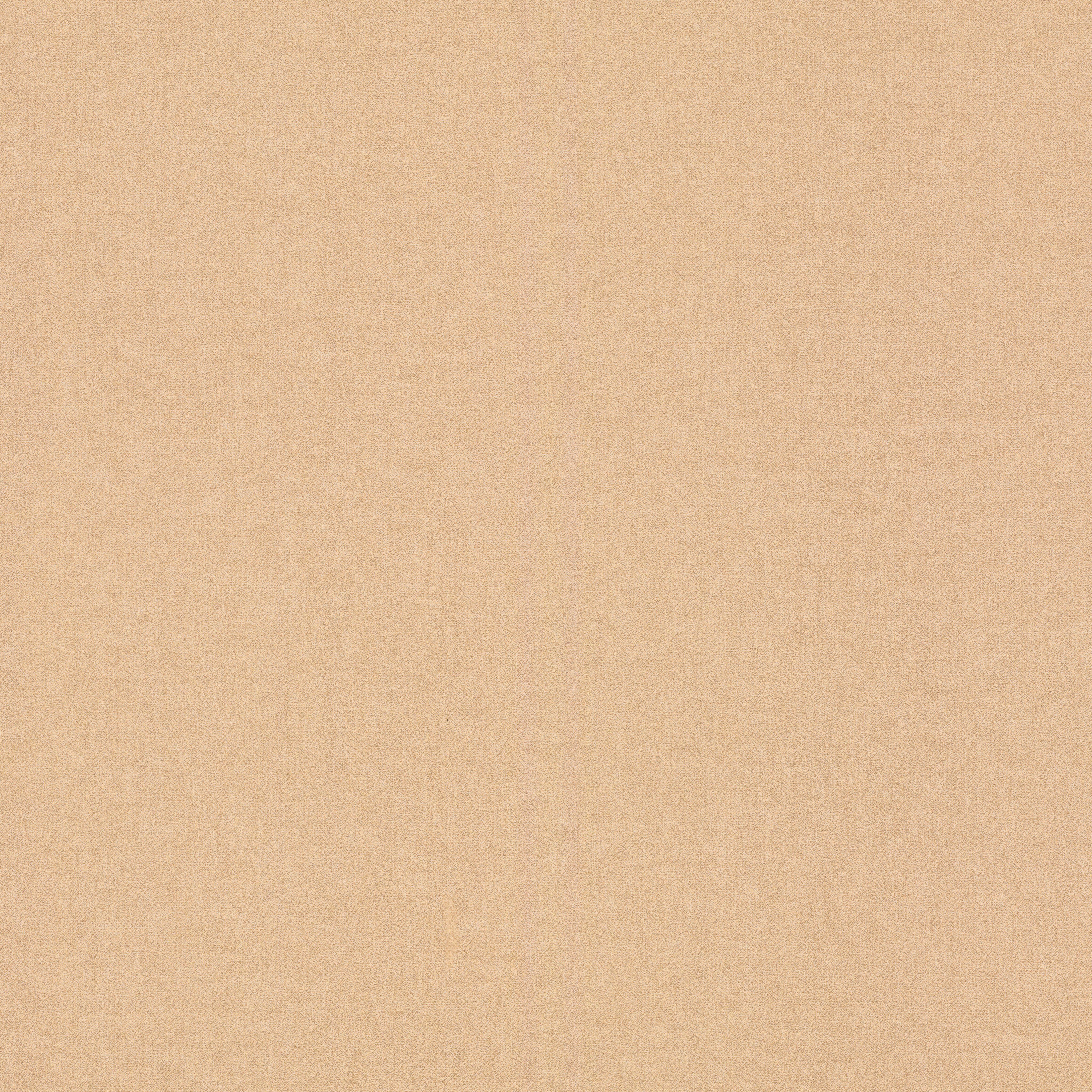 Rasch Vliestapete Bambino XIX 252866 Uni Gold-Braun 10,05 m x 0,53 m günstig online kaufen