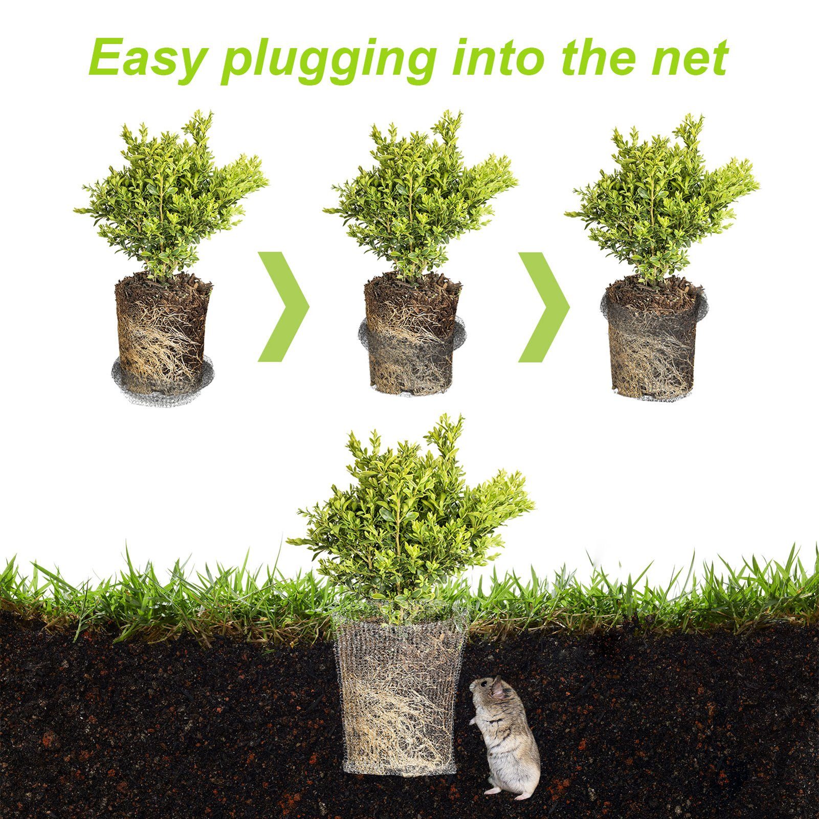 SEEZSSA Draht 4 Stück Wurzelschutz aus Edelstahl für Pflanzen, Körbe für Wühlmaus und Wühlmaus-Drahtkörbe für Beeren, Gemüse
