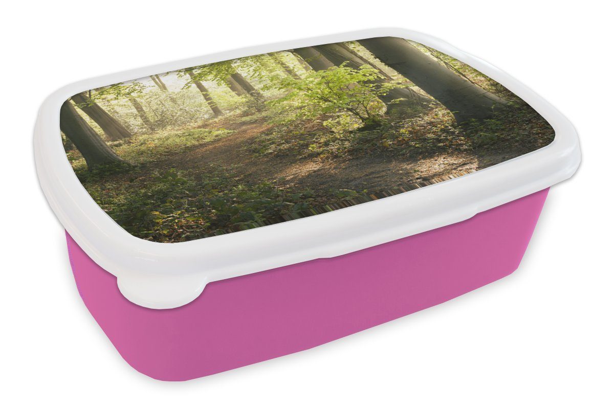 MuchoWow Lunchbox Wald - Bäume - Weg - Sonne - Pflanzen - Laub - Natur, Kunststoff, (2-tlg), Brotbox für Erwachsene, Brotdose Kinder, Snackbox, Mädchen, Kunststoff rosa