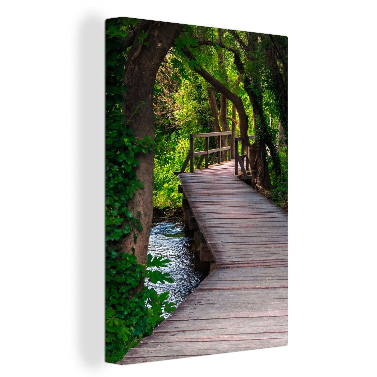 OneMillionCanvasses® Leinwandbild Wald - Natur - günstig online kaufen