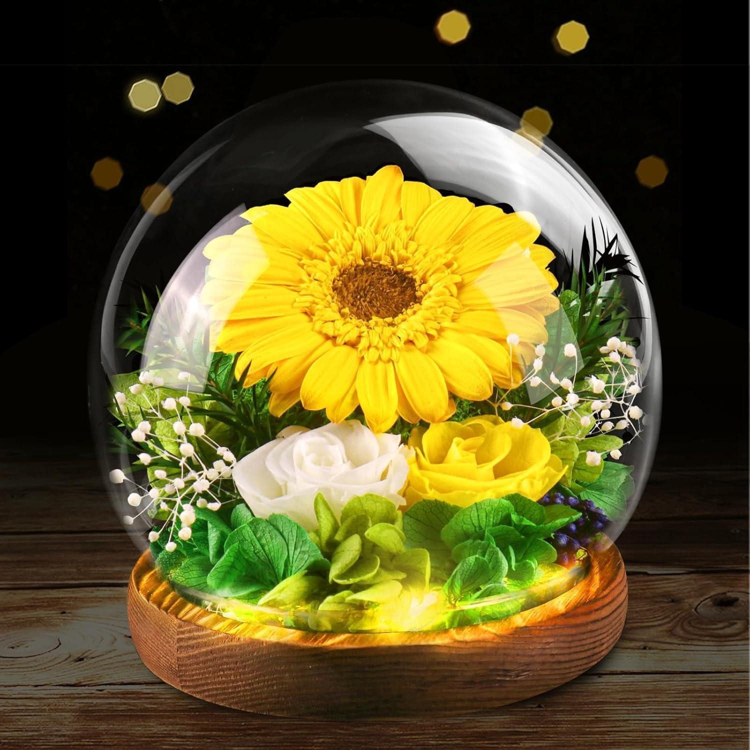 Trockenblume Geschenk Infinity Blumen Glas Muttertag Geburtstag Frauen Gelb Runden, LuxusKollektion