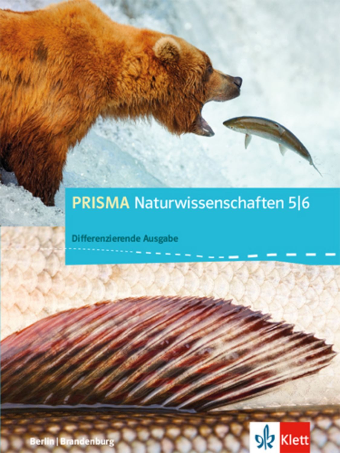 PRISMA Naturwissenschaften 5/6. Differenzierende Ausgabe Berlin, Brand / diverse