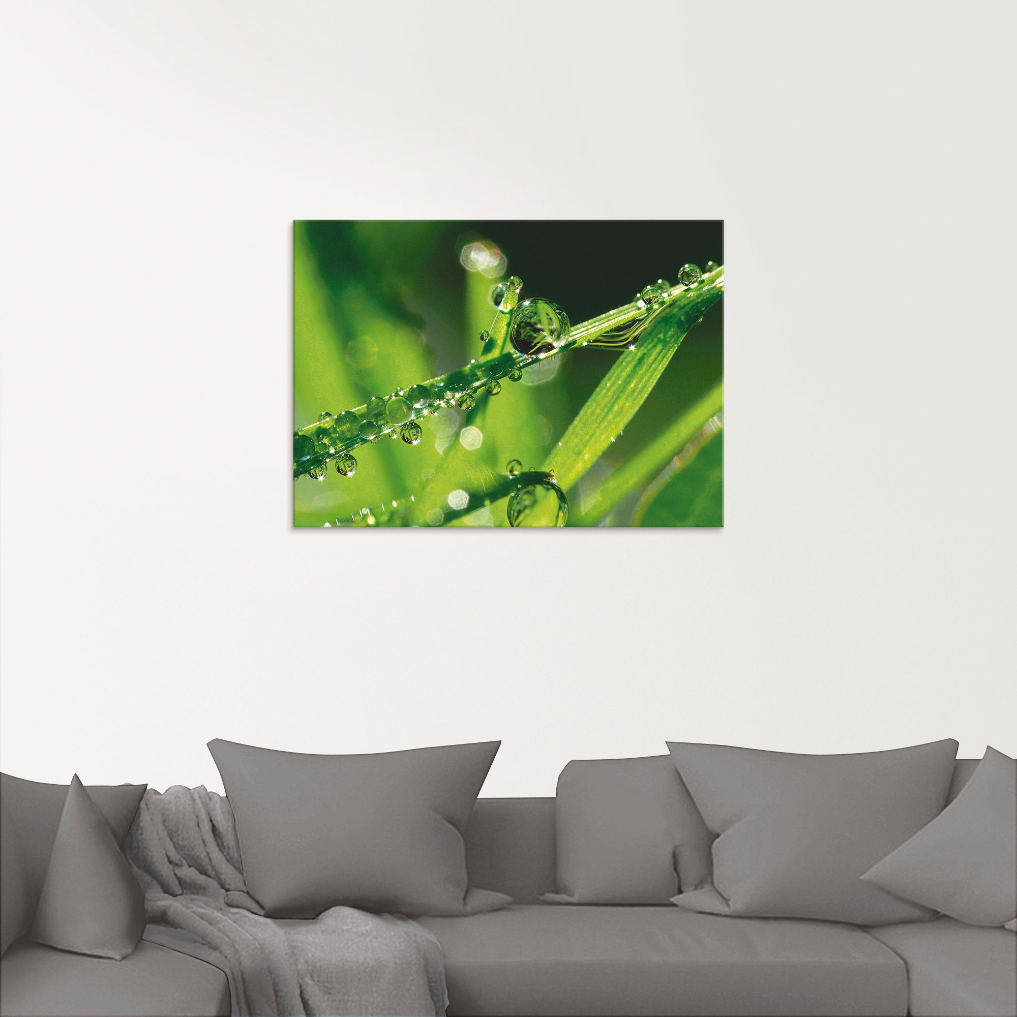 Artland Glasbild »Wassertropfen auf Gras«, Gräser (1 Stück)-HomeTrends