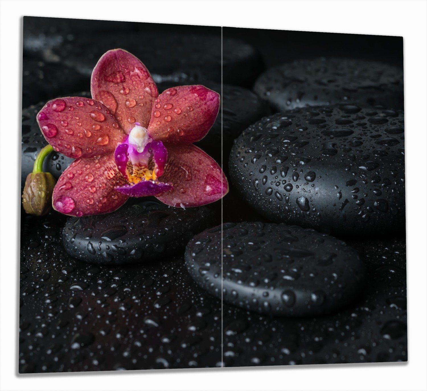 Wallario Herd-Abdeckplatte Orchideen-Blüte auf schwarzen Steinen, benetzt mit Wasser-Tropfen, ESG-Sicherheitsglas, (Glasplatte, 2 tlg., inkl. 5mm Noppen), verschiedene Größen