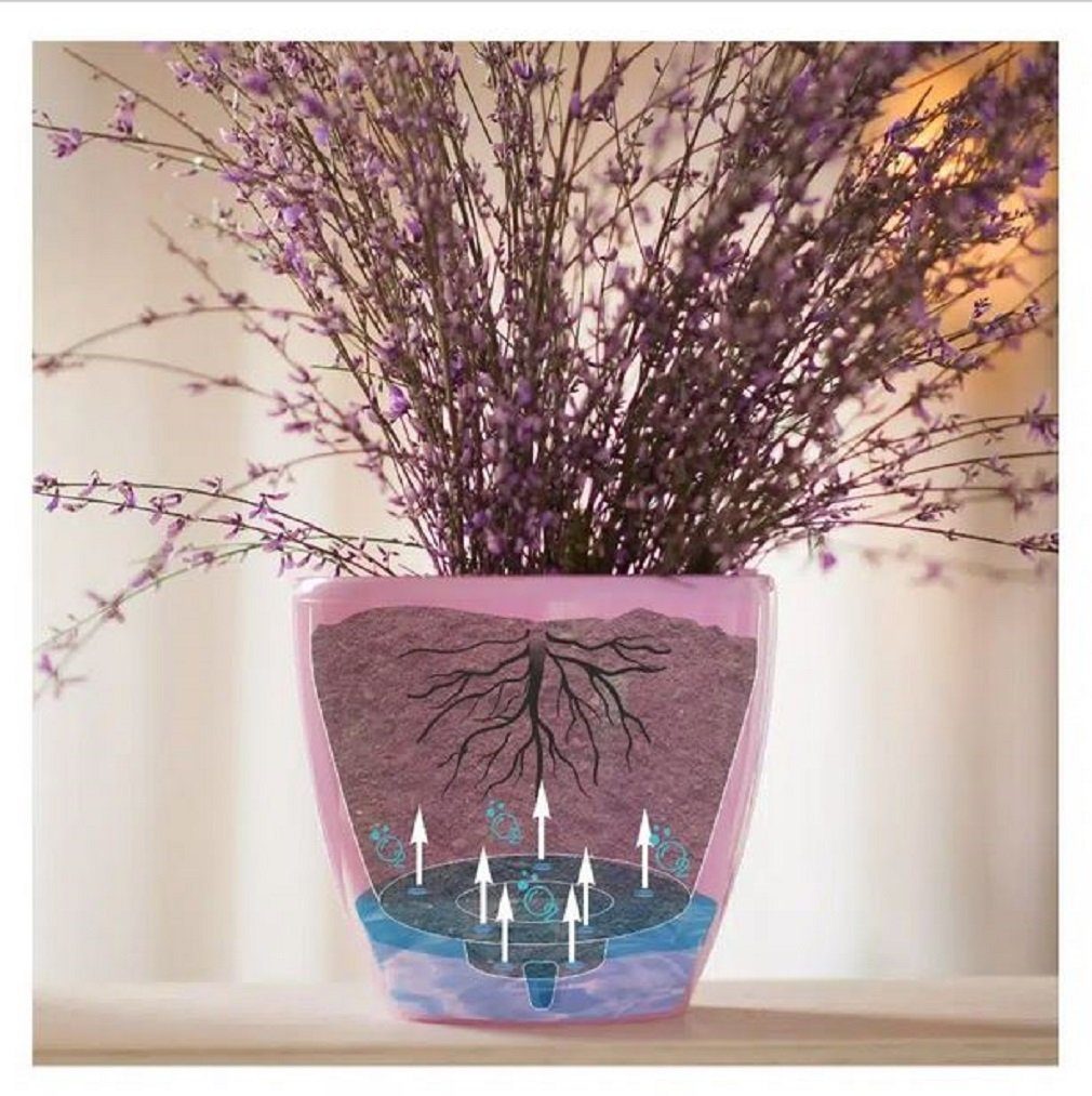 selbstbewässernd Santino Größen Blumentopf Farben 5 Pflanztopf transparent mit in 5 + Seramis (3er-Set)