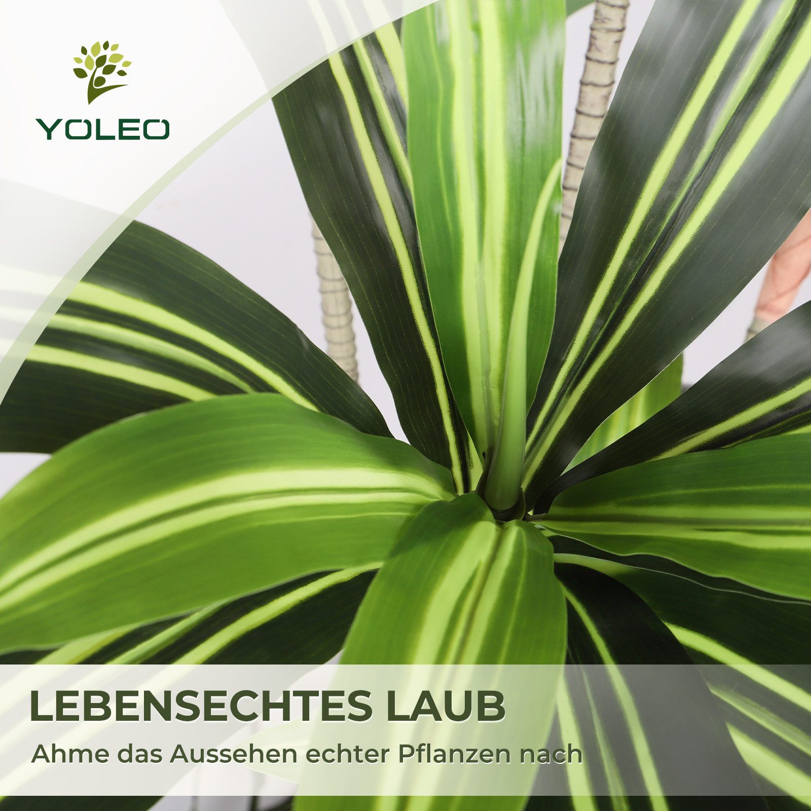 Kunstpflanze Künstliche Pflanzen Dracaena/ Ficus/ Bambus/ Olivenbaum, YOLEO günstig online kaufen