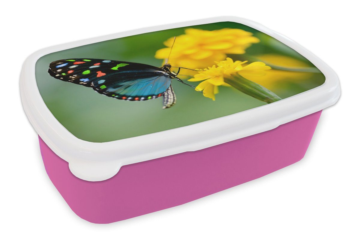 Erwachsene, MuchoWow Lunchbox Kunststoff, rosa - Insekt, Mädchen, Blume Brotbox Kunststoff (2-tlg), Schmetterling Tier Snackbox, Kinder, für Brotdose - -
