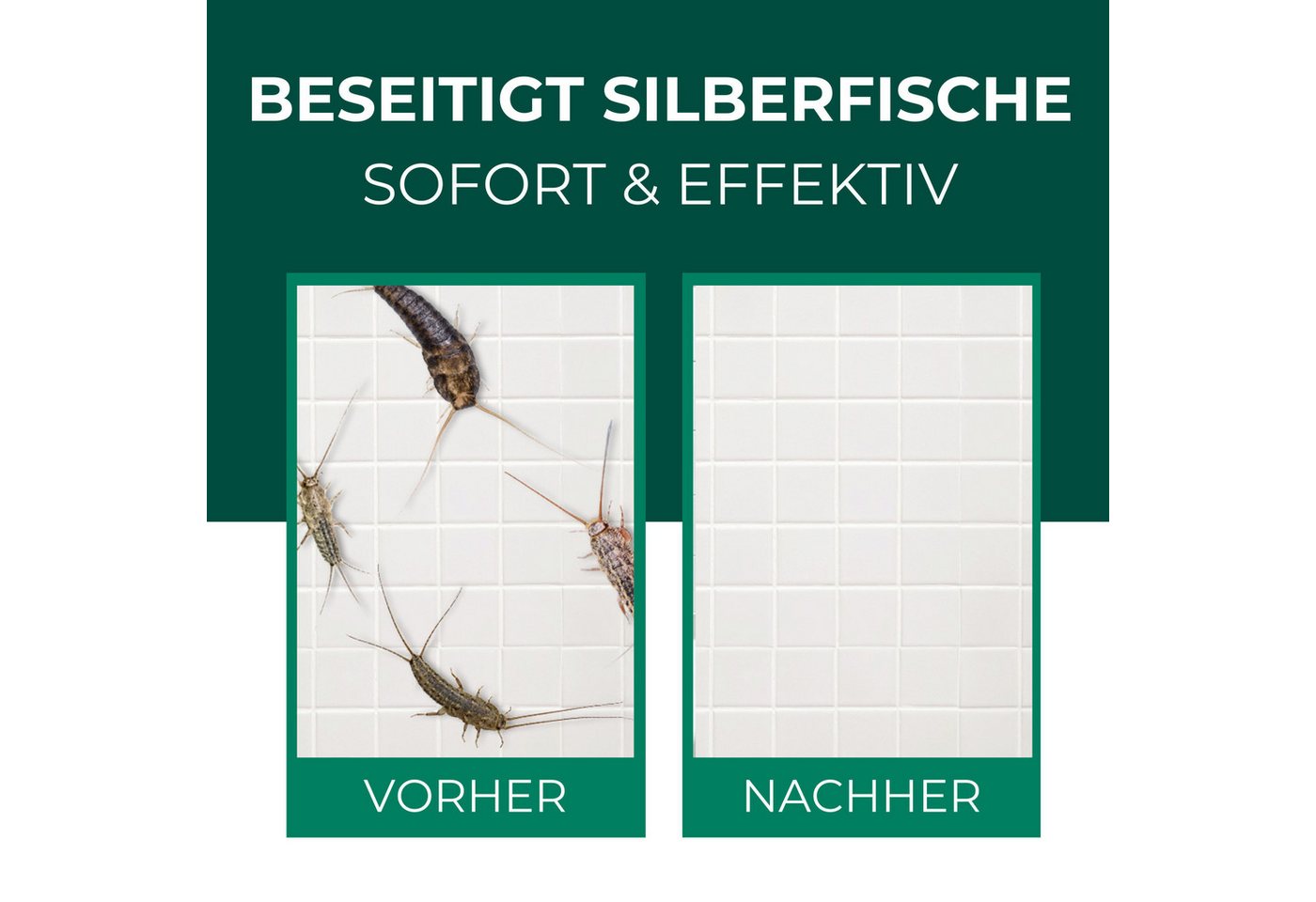 Thumbnail - Silberkraft Insektenspray Silberkraft Silberfischspray - Silberfische, Papierfische vertreiben, 6000 ml, 12-St., gegen S...
