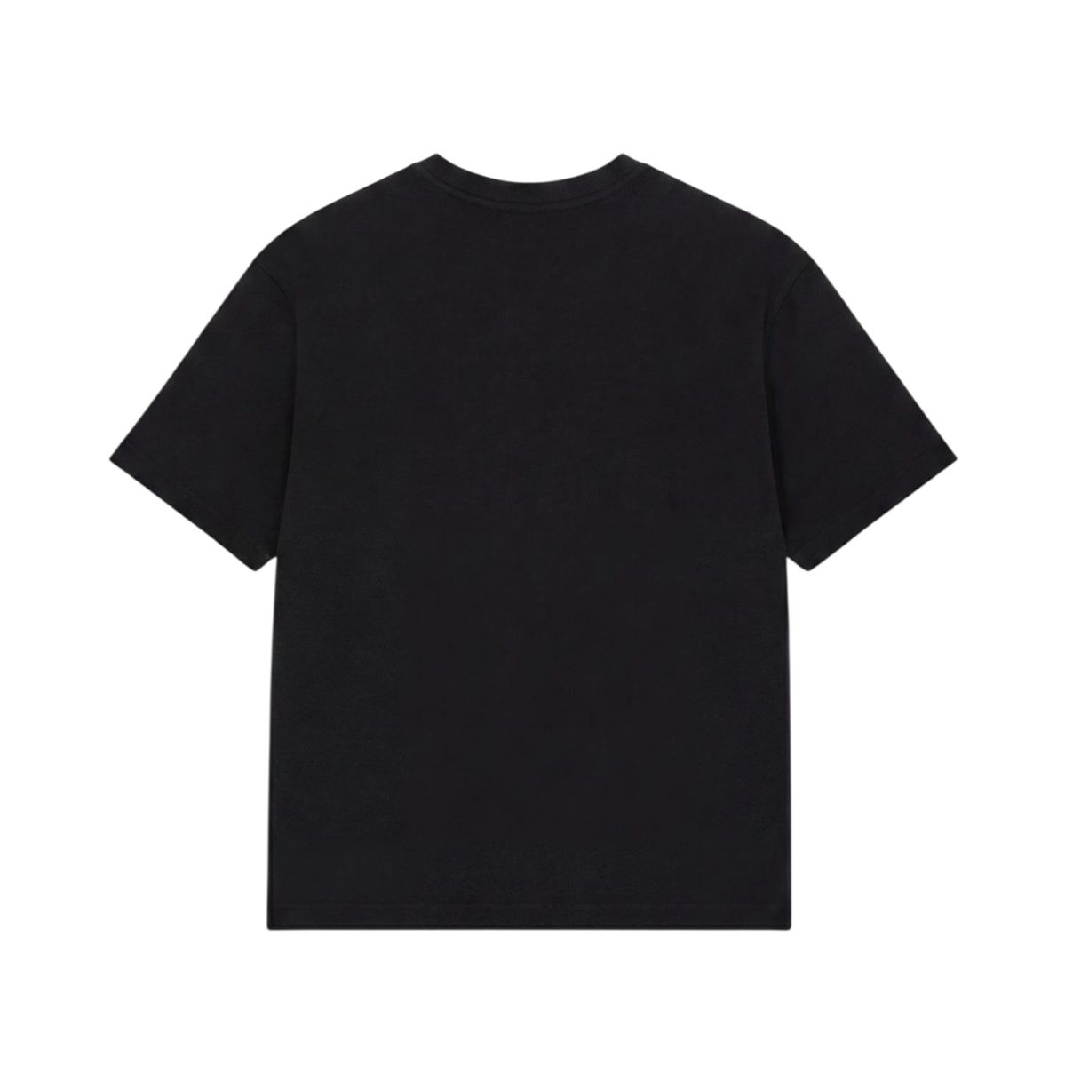 COLUCCI T-Shirt College Logo (kein Set)