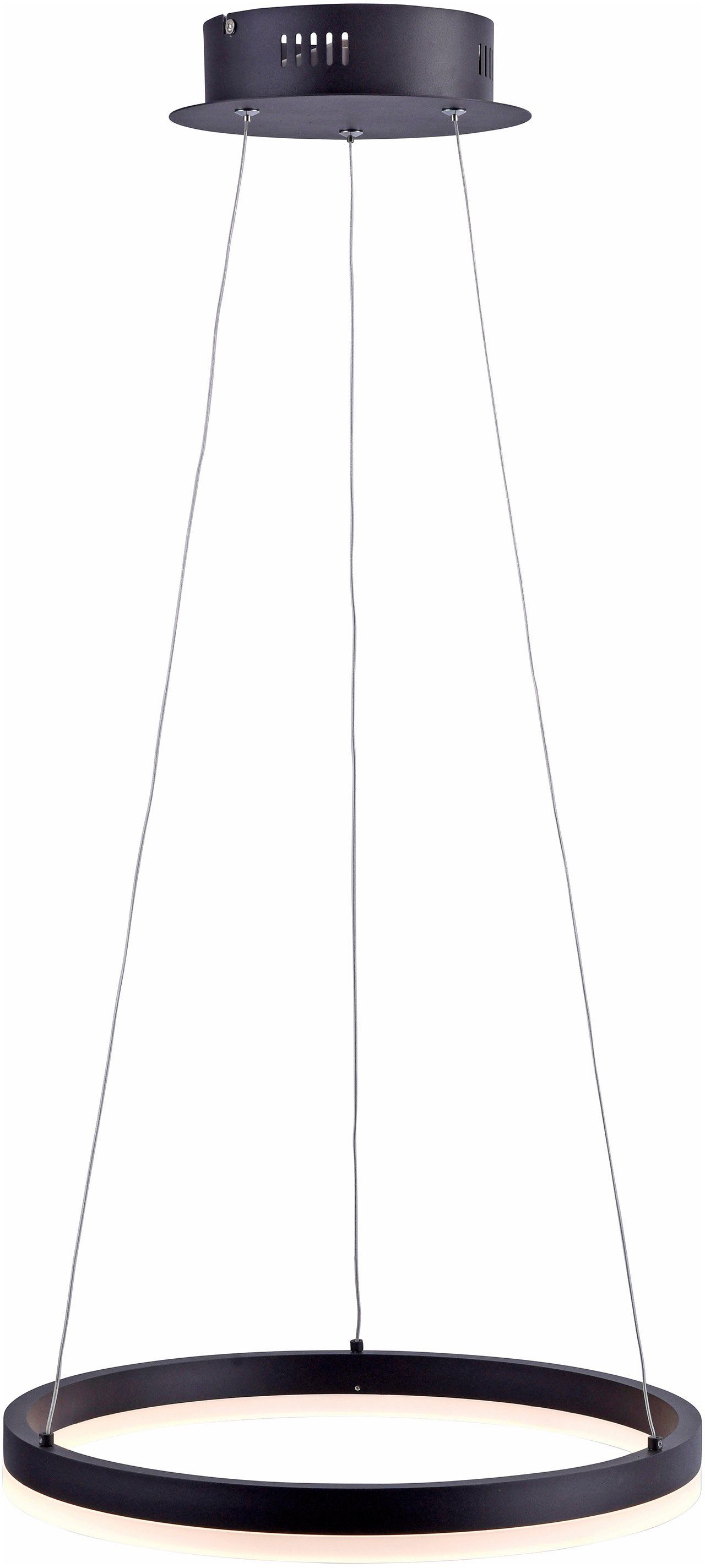 Paul Neuhaus Pendelleuchte TITUS, Dimmfunktion, Memoryfunktion, LED fest in günstig online kaufen