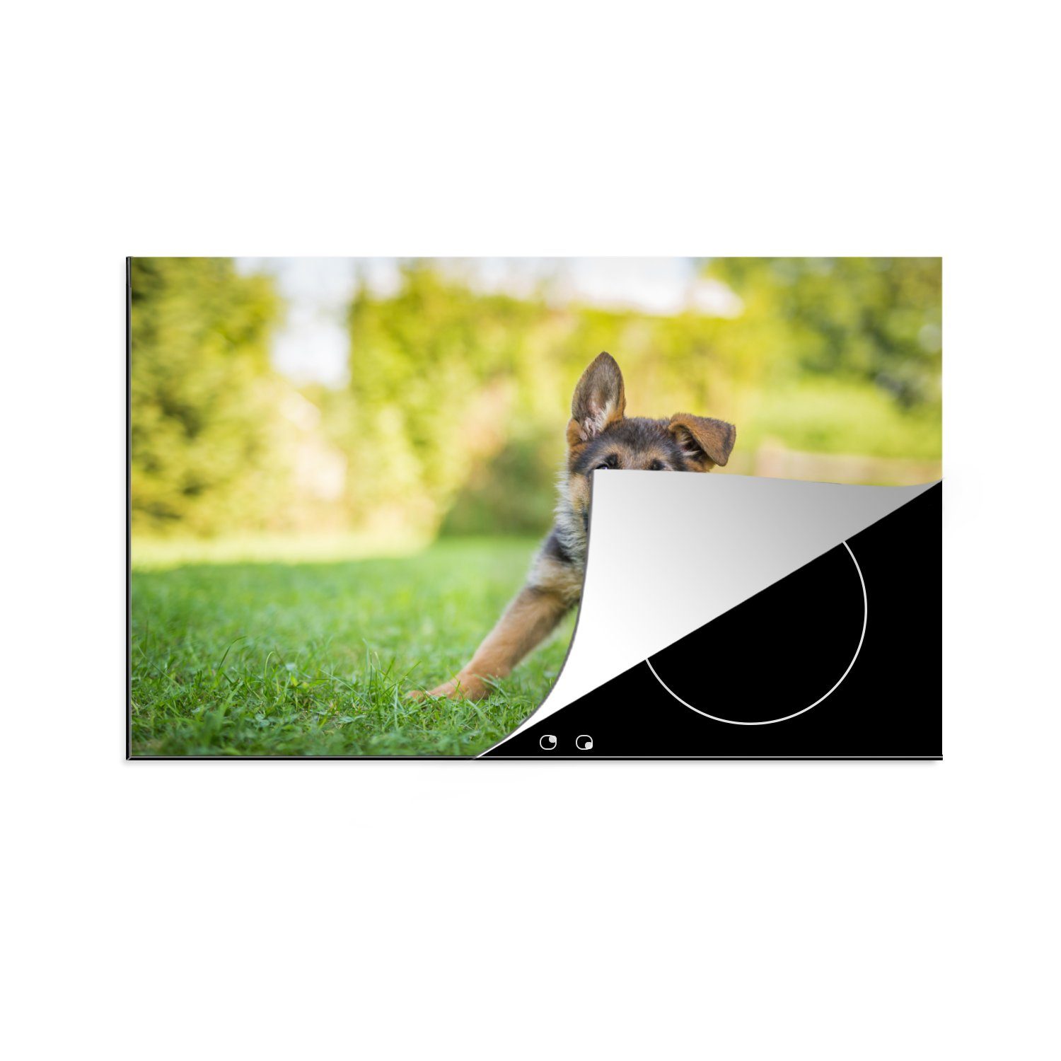 MuchoWow Herdblende-/Abdeckplatte Welpe sitzt im Gras, Vinyl, (1 tlg), 81x52 cm, Induktionskochfeld Schutz für die küche, Ceranfeldabdeckung