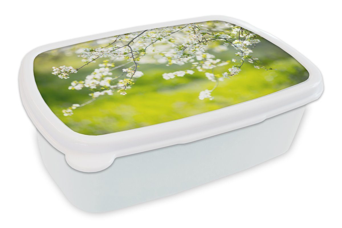 MuchoWow Lunchbox Blüte - Frühling - Weiß, Kunststoff, (2-tlg), Brotbox für Kinder und Erwachsene, Brotdose, für Jungs und Mädchen