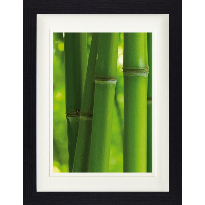 1art1 Bild mit Rahmen Bambus - Bambusstangen Nahaufnahme