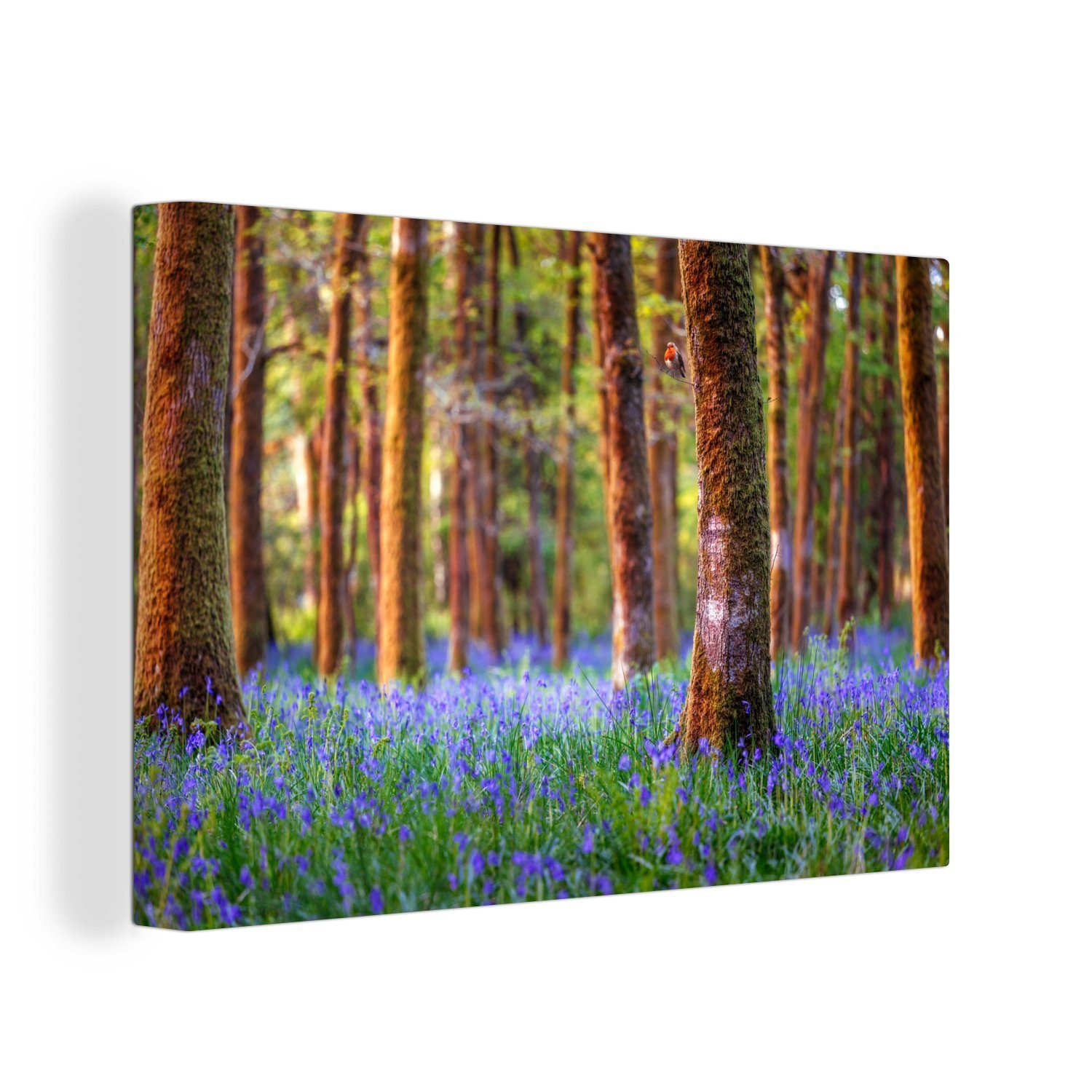 OneMillionCanvasses® Leinwandbild Rotkehlchen in einem geheimnisvollen Wald aus Hyazinthen, Fotodruck (1 St), Leinwand Bilder Klein, Wand Dekoration Aesthetic 30x20 cm