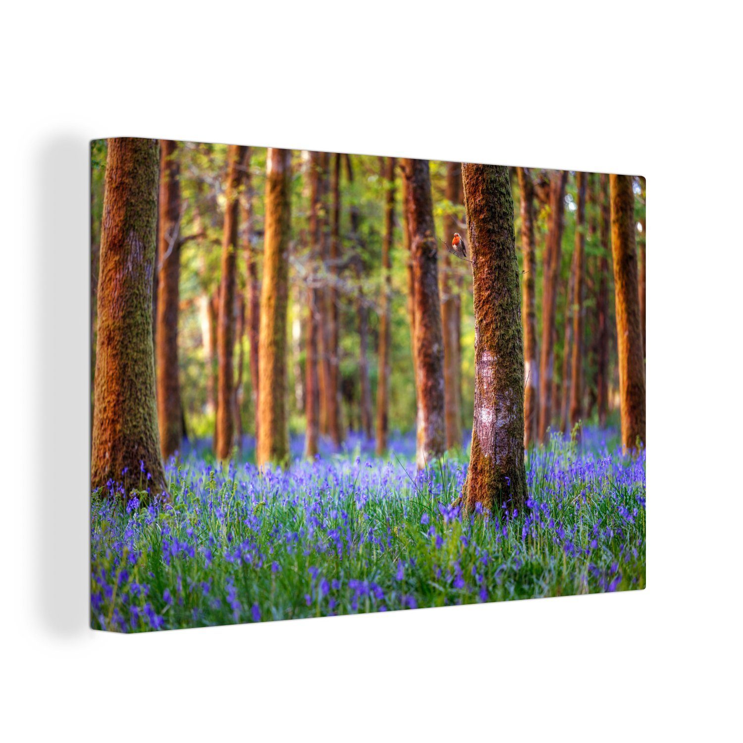 (1 cm Wandbild geheimnisvollen in XXL, OneMillionCanvasses® Wohnbereiche, großes, alle aus Gemälde, 120x80 Wald einem Rotkehlchen St), für Leinwandbild Hyazinthen,