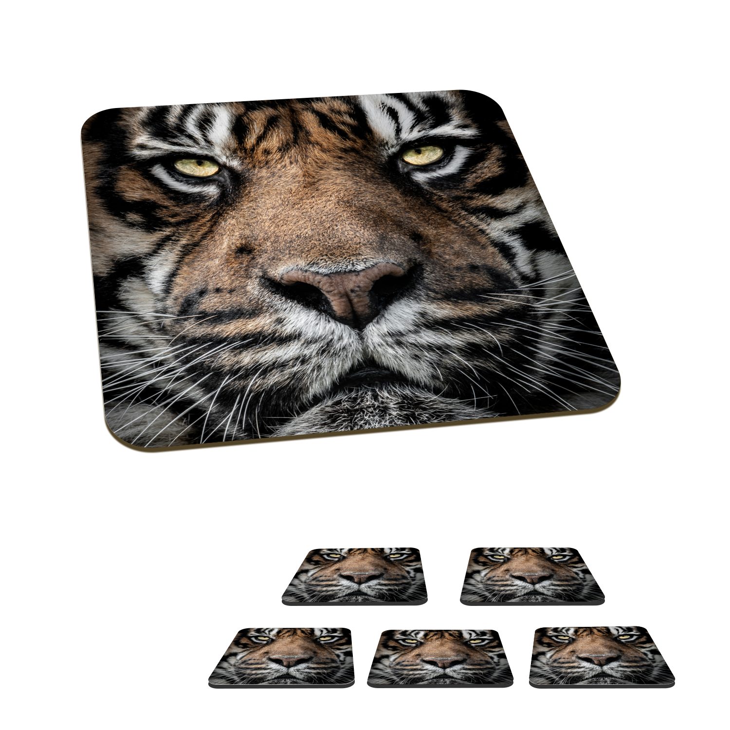 MuchoWow Glasuntersetzer Porträt-Tiger auf schwarzem Hintergrund, Zubehör für Gläser, 6-tlg., Glasuntersetzer, Tischuntersetzer, Korkuntersetzer, Untersetzer, Tasse