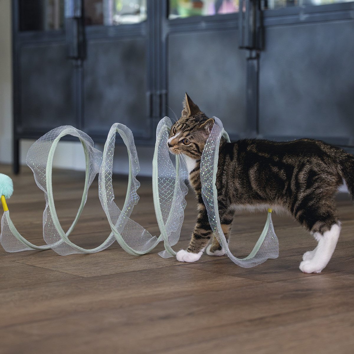 Beeztees Tier-Beschäftigungsspielzeug Kitten Katzenspielzeug Spielspirale Gabi