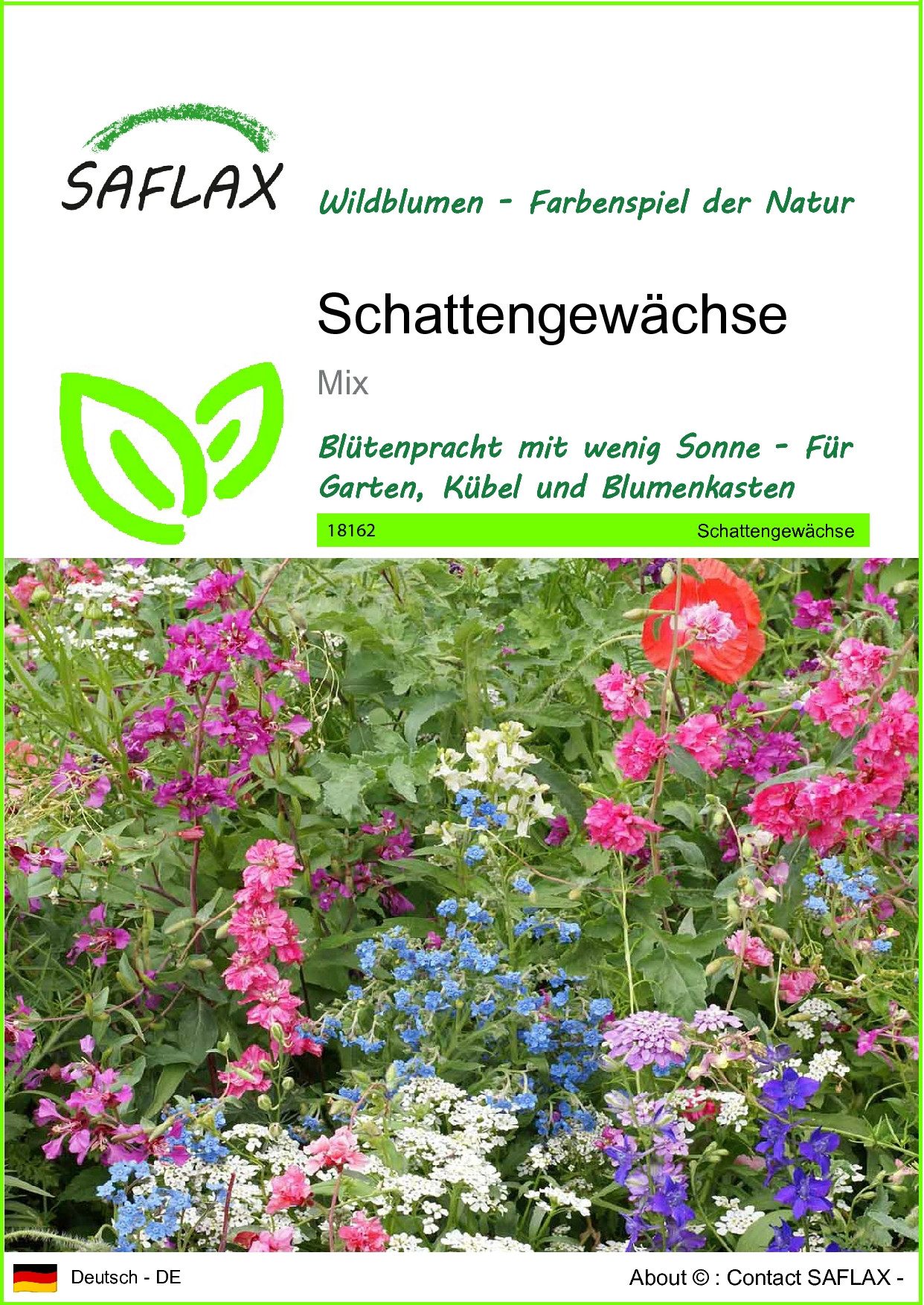 Blumensamen SAFLAX - Samen - Schattengewächse