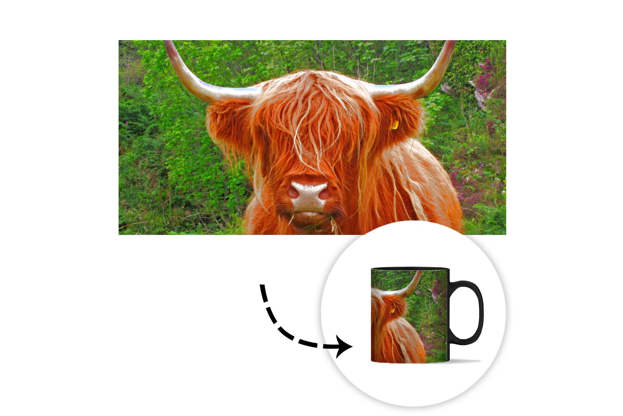 Kaffeetassen, MuchoWow Gras, Tasse - Zaubertasse, Geschenk Schottischer - Highlander Farbwechsel, Teetasse, Keramik, Kuh