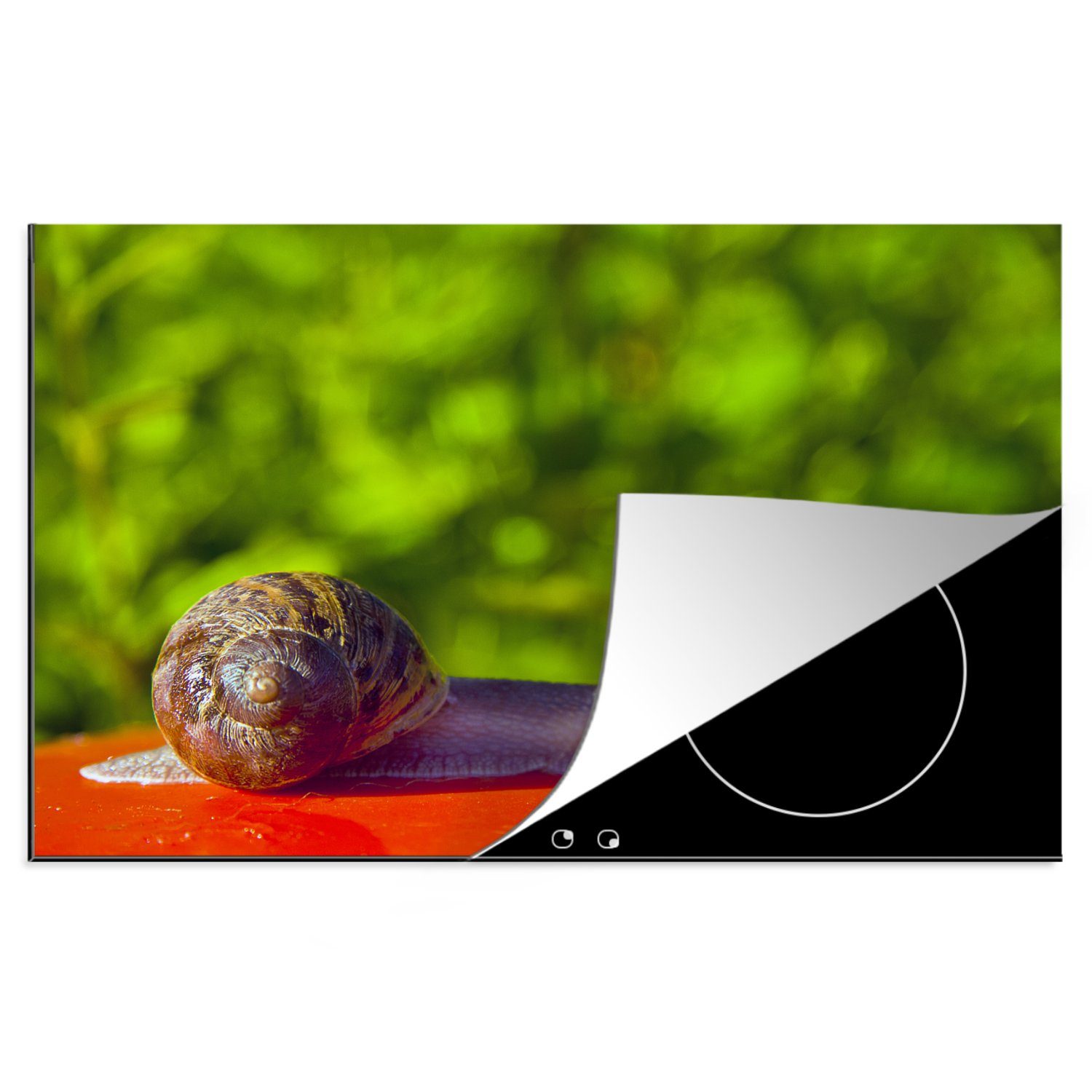 Induktionskochfeld Hintergrund, für küche, cm, Schutz MuchoWow Schnecke tlg), (1 Ceranfeldabdeckung auf Vinyl, 81x52 Herdblende-/Abdeckplatte die rotem