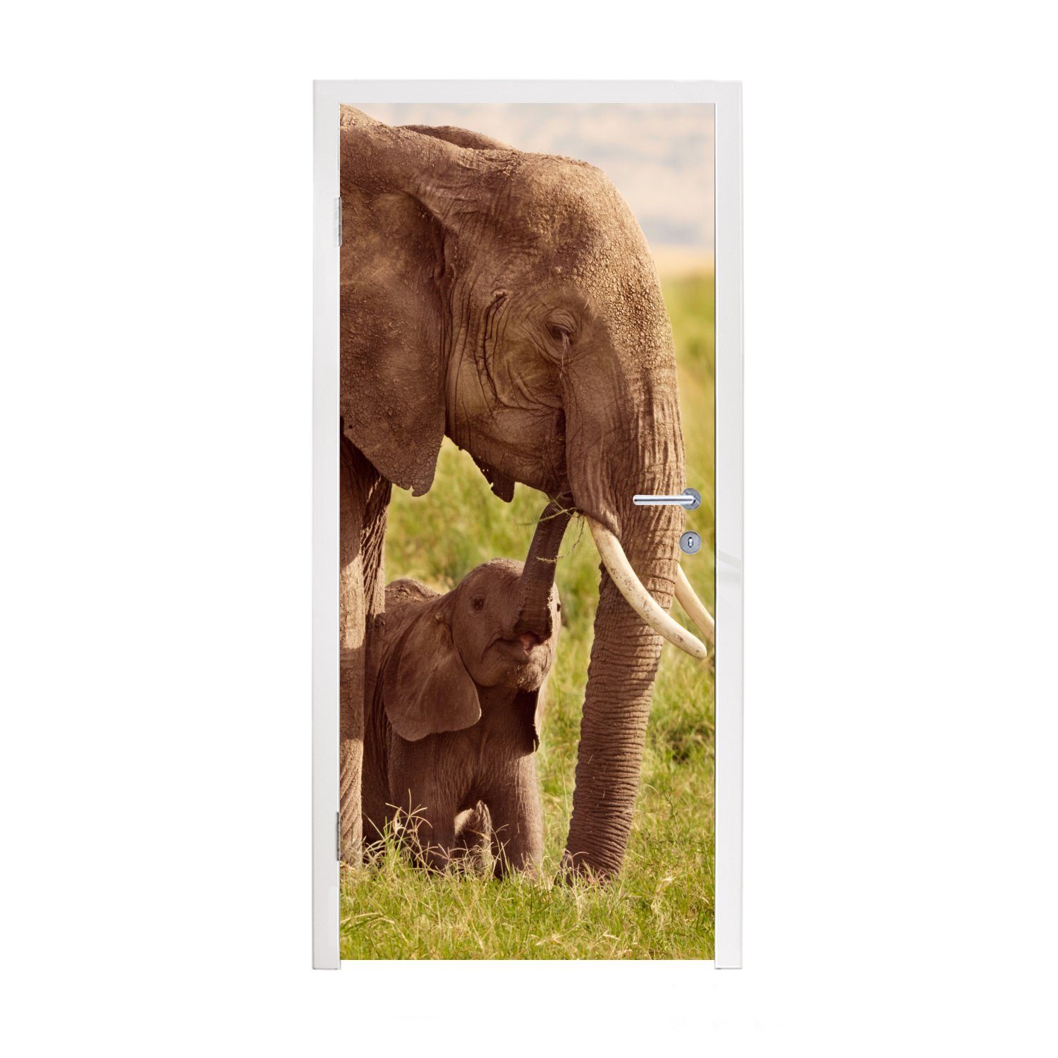 MuchoWow Türtapete Elefant - Gras - Jung - Rüssel, Matt, bedruckt, (1 St), Fototapete für Tür, Türaufkleber, 75x205 cm