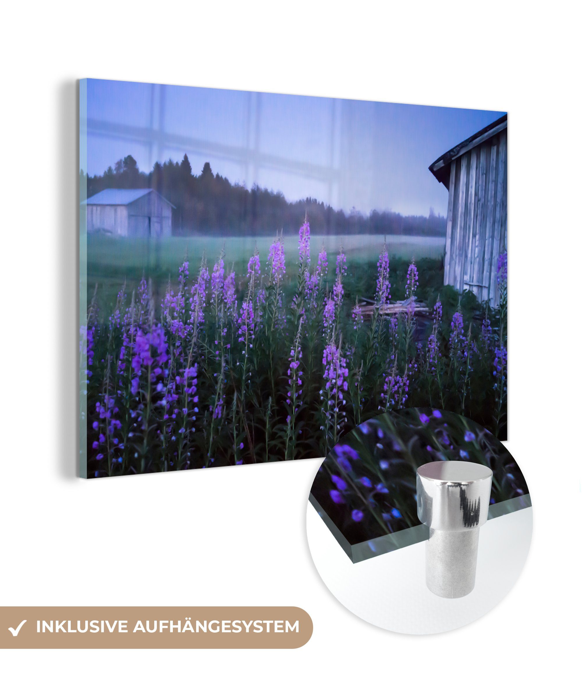 (1 Acrylglasbild Acrylglasbilder Finnland, St), Feld in MuchoWow Wohnzimmer einem auf Schlafzimmer & leeren Holzschuppen