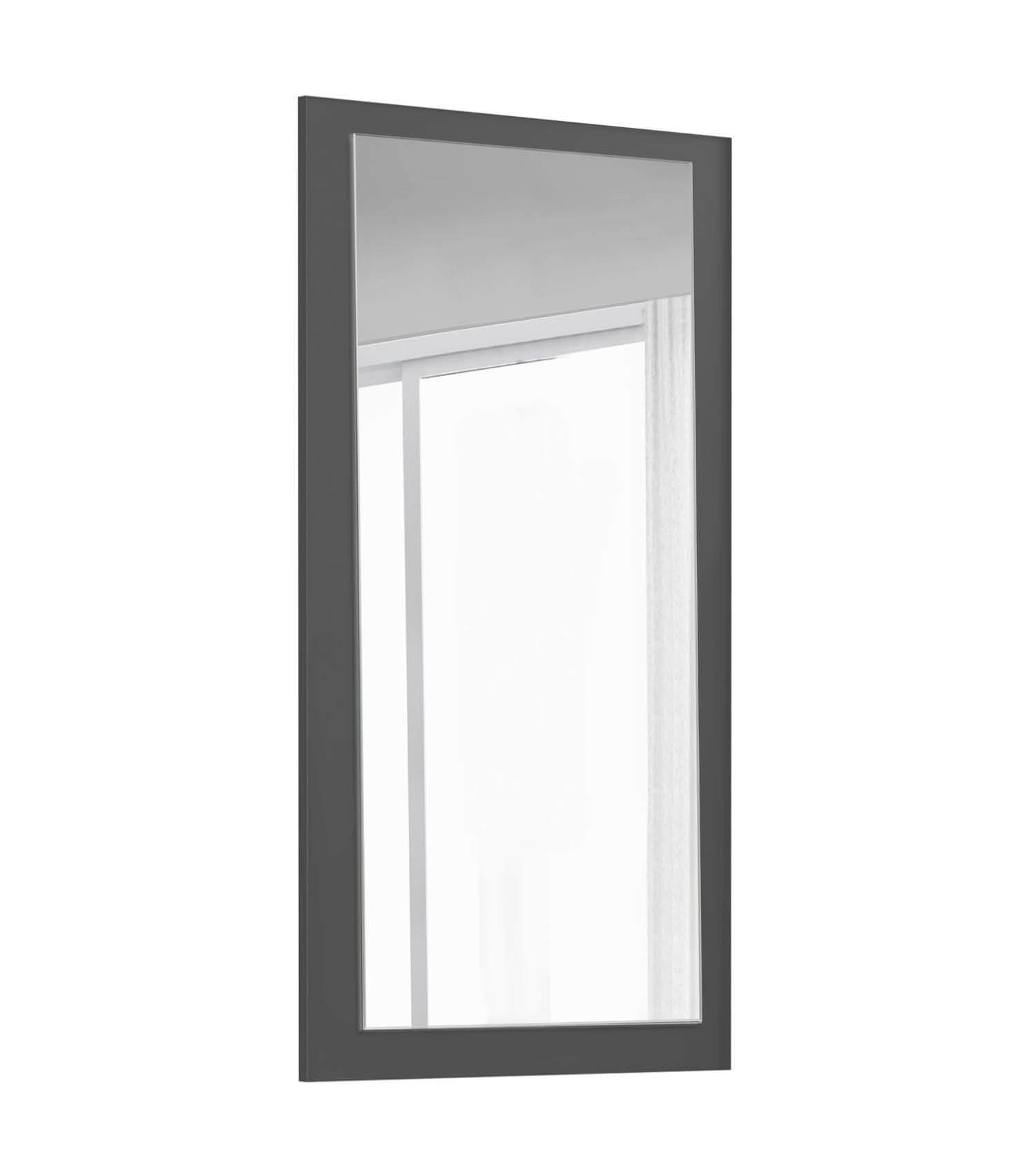 mokebo Schranktür Die Verspiegelte (Einzeln), Spiegeltür für Kleiderschrank bzw. Schrank 'Der Grenzenlose'