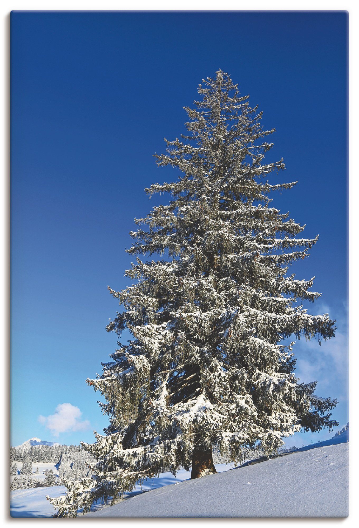 Artland Wandbild Winterlandschaft Wandaufkleber Größen versch. in (1 Alubild, Bäume Allgäu, als im oder St), Leinwandbild, Poster