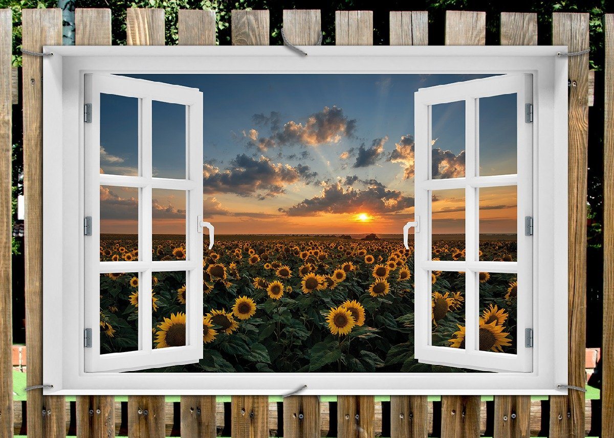 Thumbnail - Wallario Sichtschutzzaunmatten Sonnenblumenwiese vor Wolken mit Sonnenuntergang, mit Fenster-Illusion
