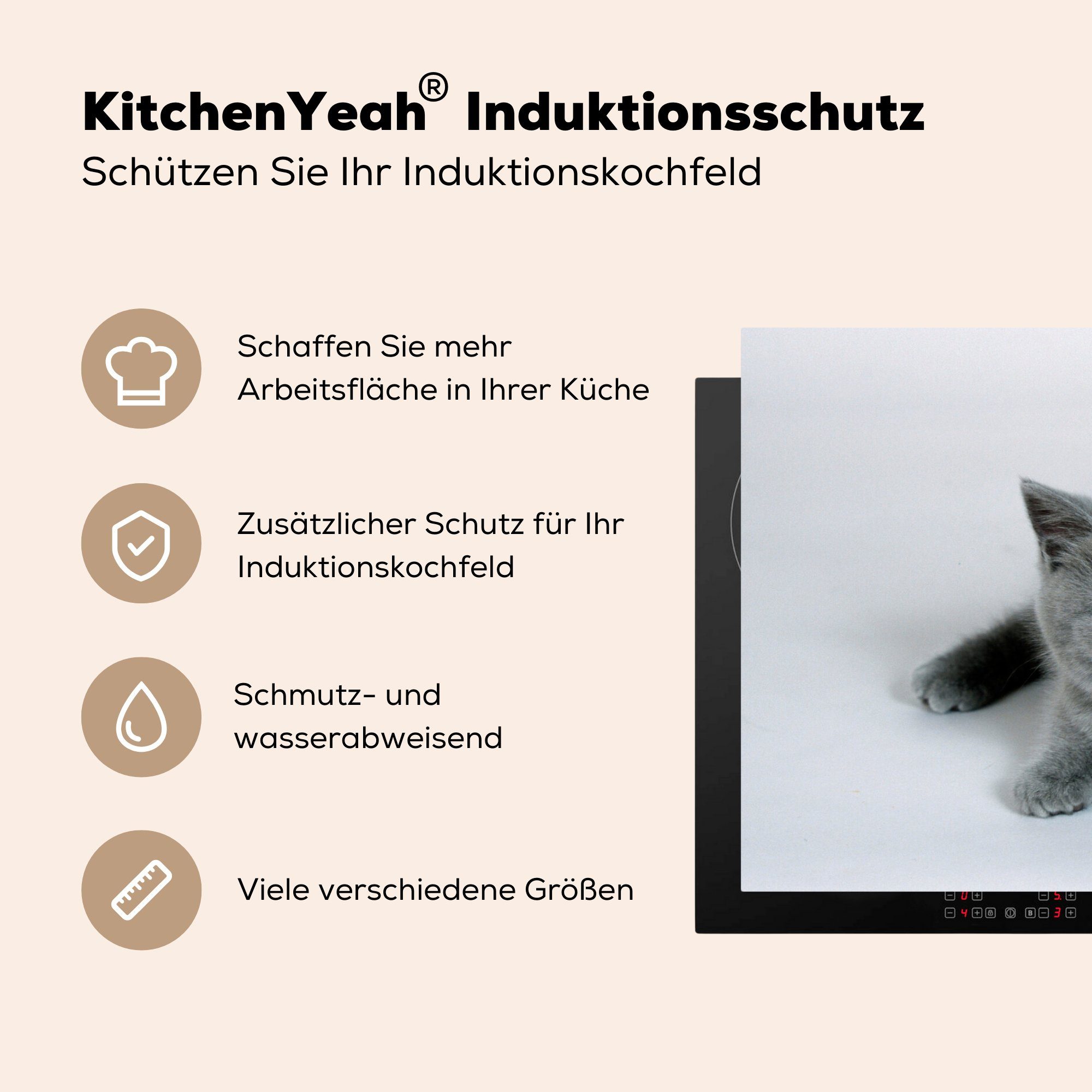 Vinyl, MuchoWow 81x52 cm, Induktionskochfeld Britisch-Kurzhaar-Kätzchens, Anzeige Ceranfeldabdeckung küche, für eines Herdblende-/Abdeckplatte wunderschönen (1 tlg), Schutz die