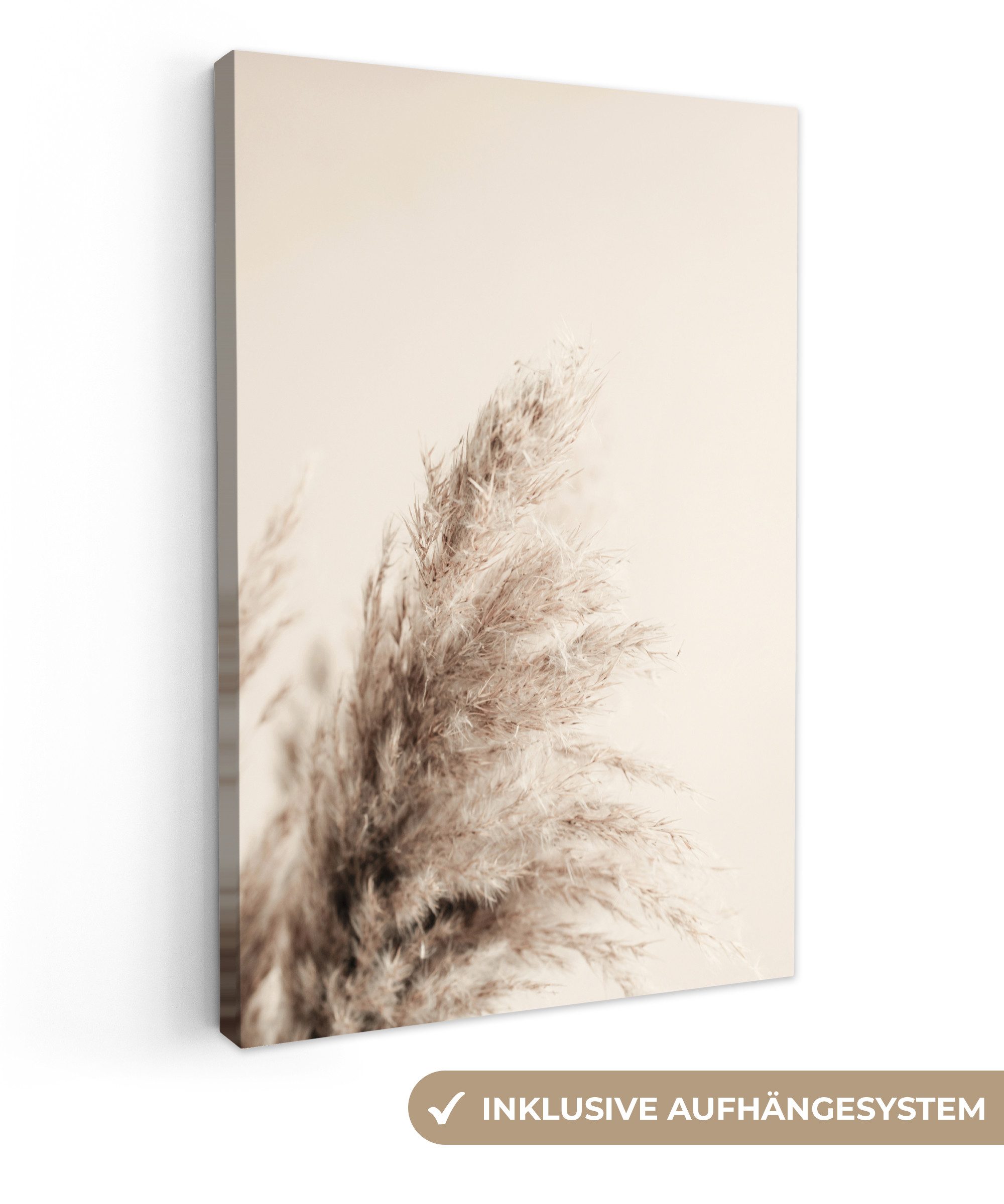 OneMillionCanvasses® Leinwandbild Pflanzen - Pampaswedel - Pampasgras - Beige - Natur, Fotodruck (1 St), Leinwand Canvas Wandbild, Wanddekoration 20x30 cm
