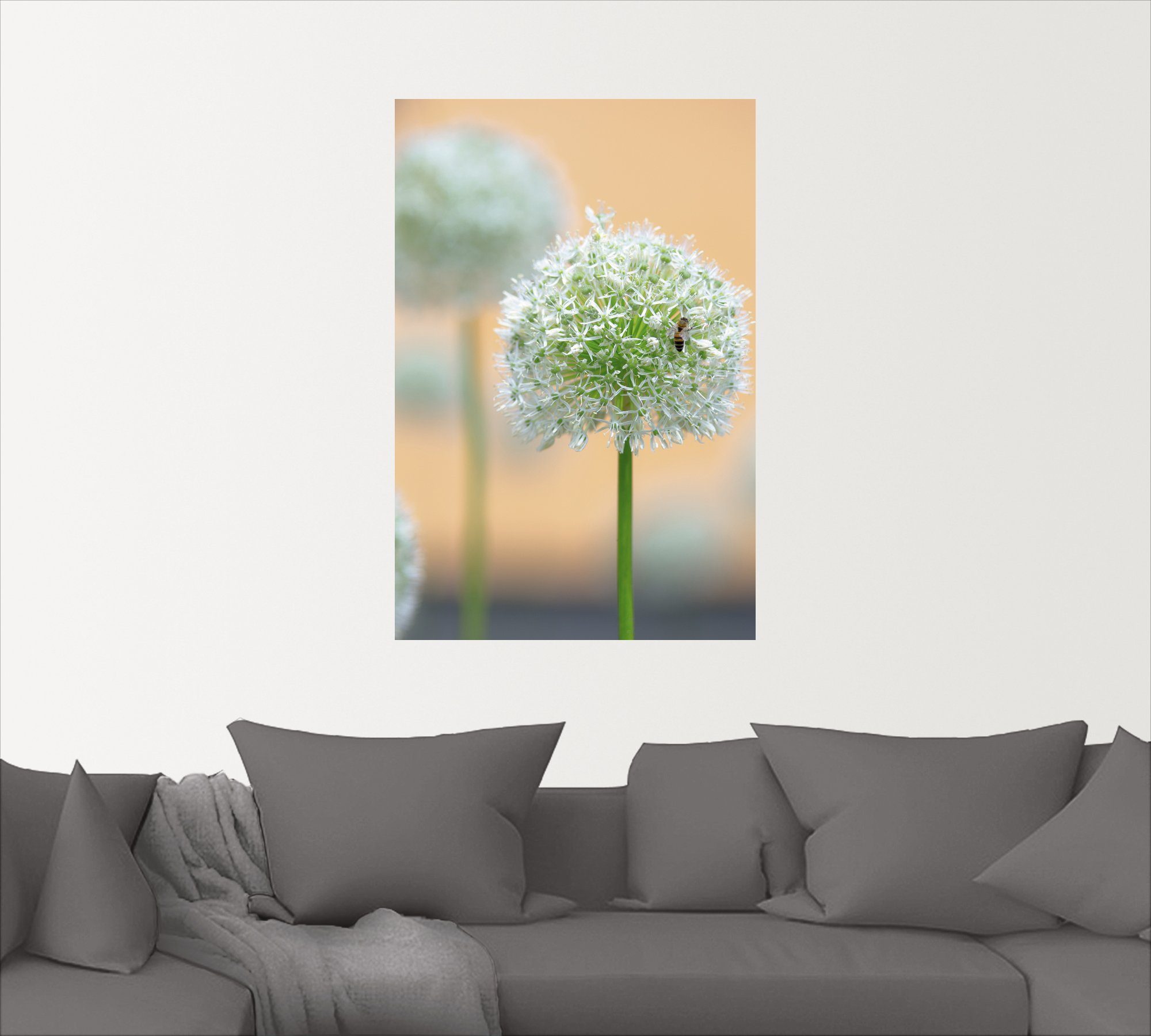 Artland Wandbild Großer Pastell, Alubild, (1 versch. in Blumen Leinwandbild, oder als in Wandaufkleber St), Poster Größen Allium